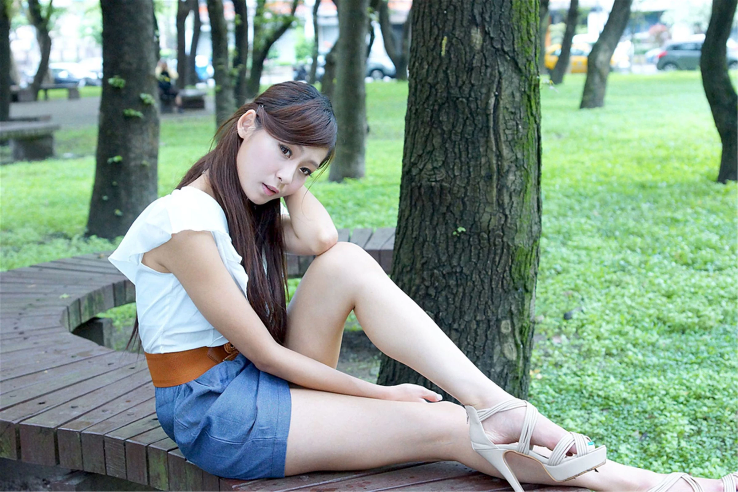 30727810.webp
