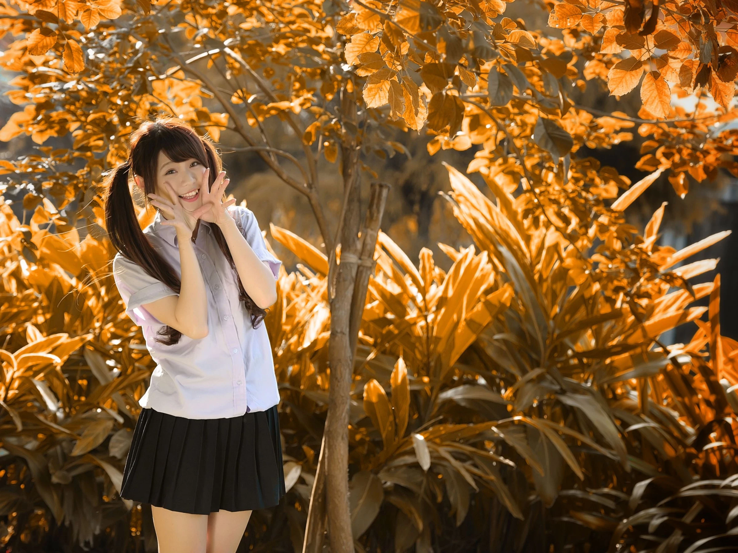 30714549.webp