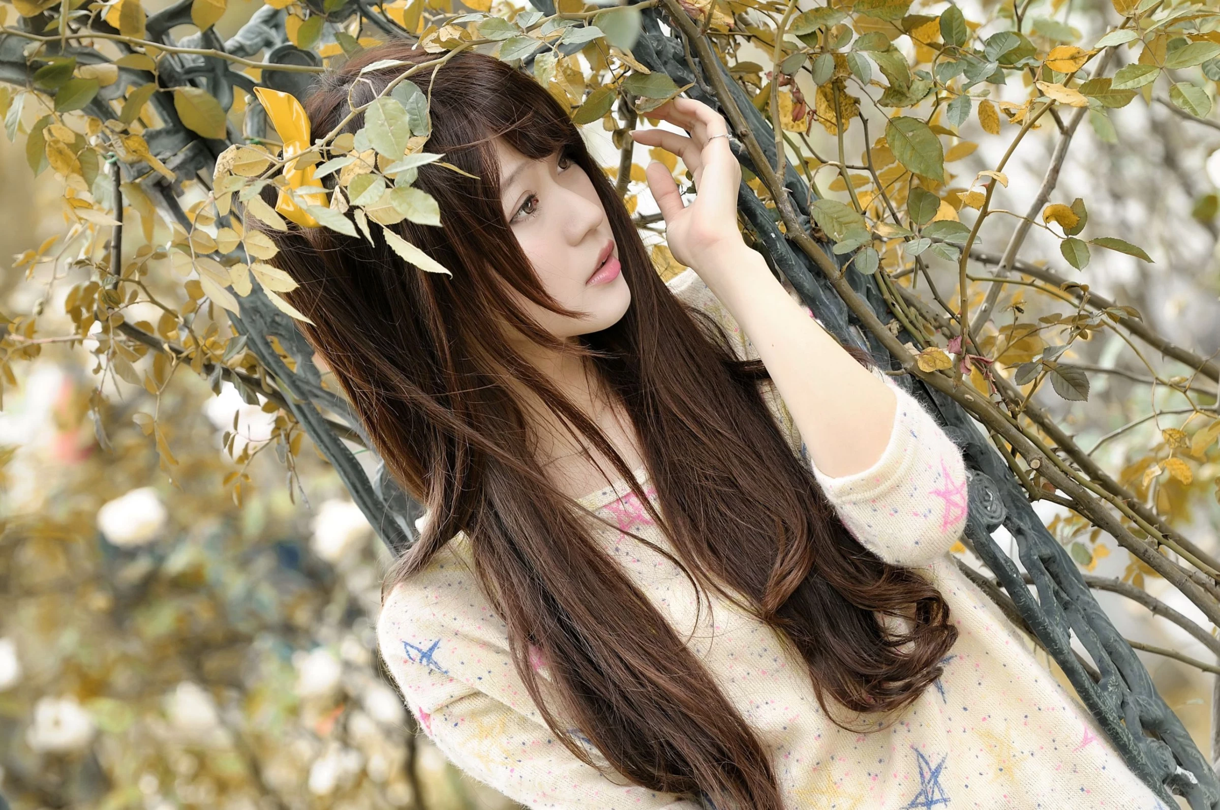 30714565.webp
