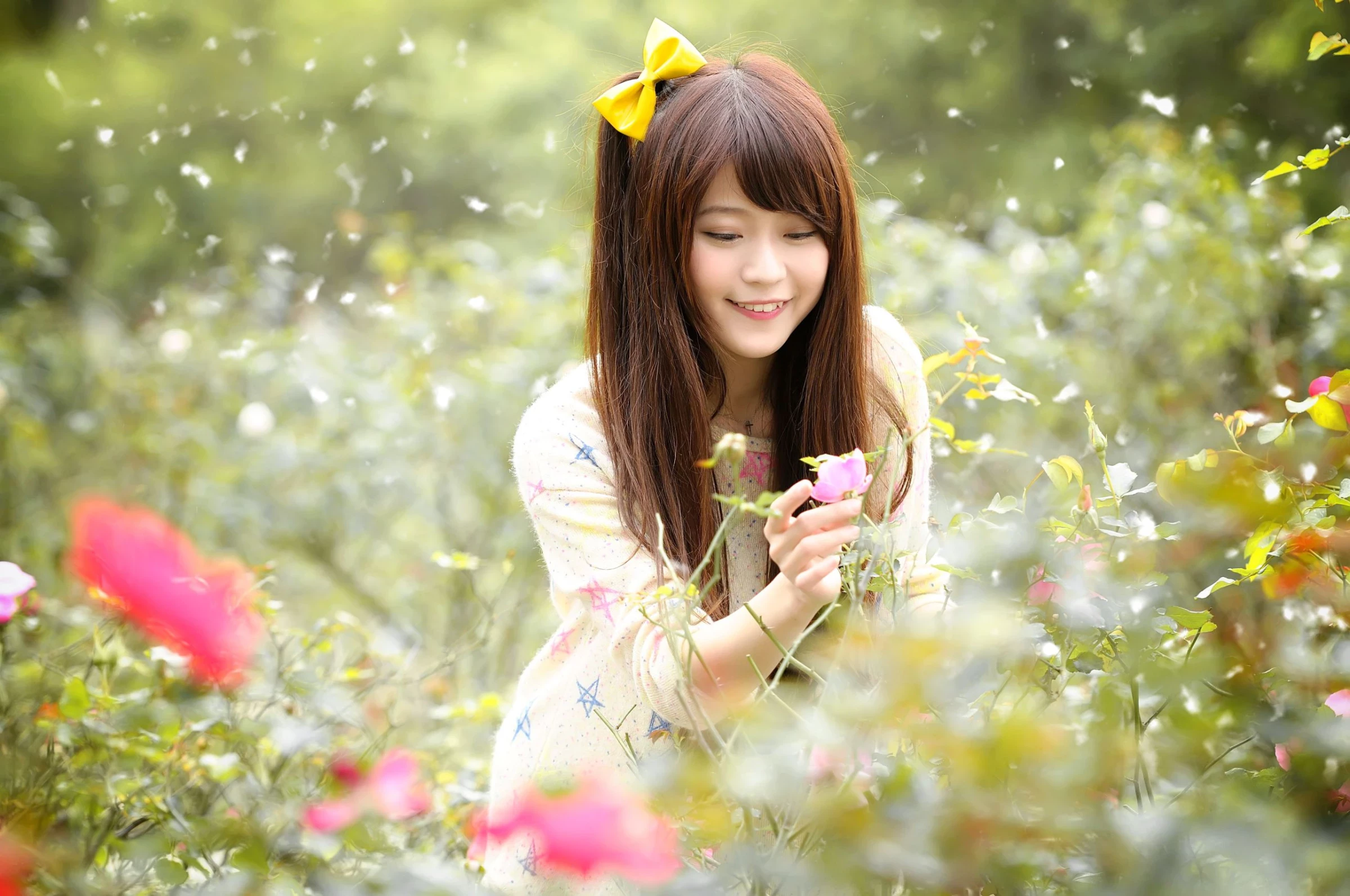 30714569.webp