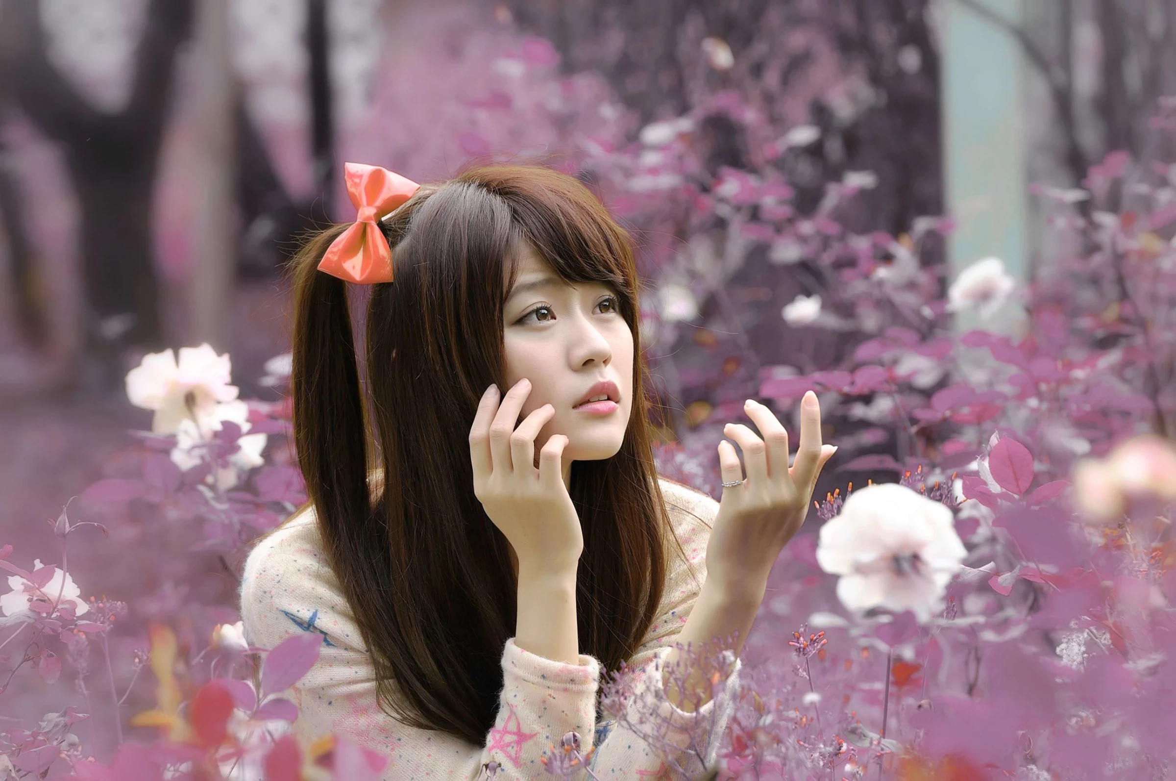 30714570.webp