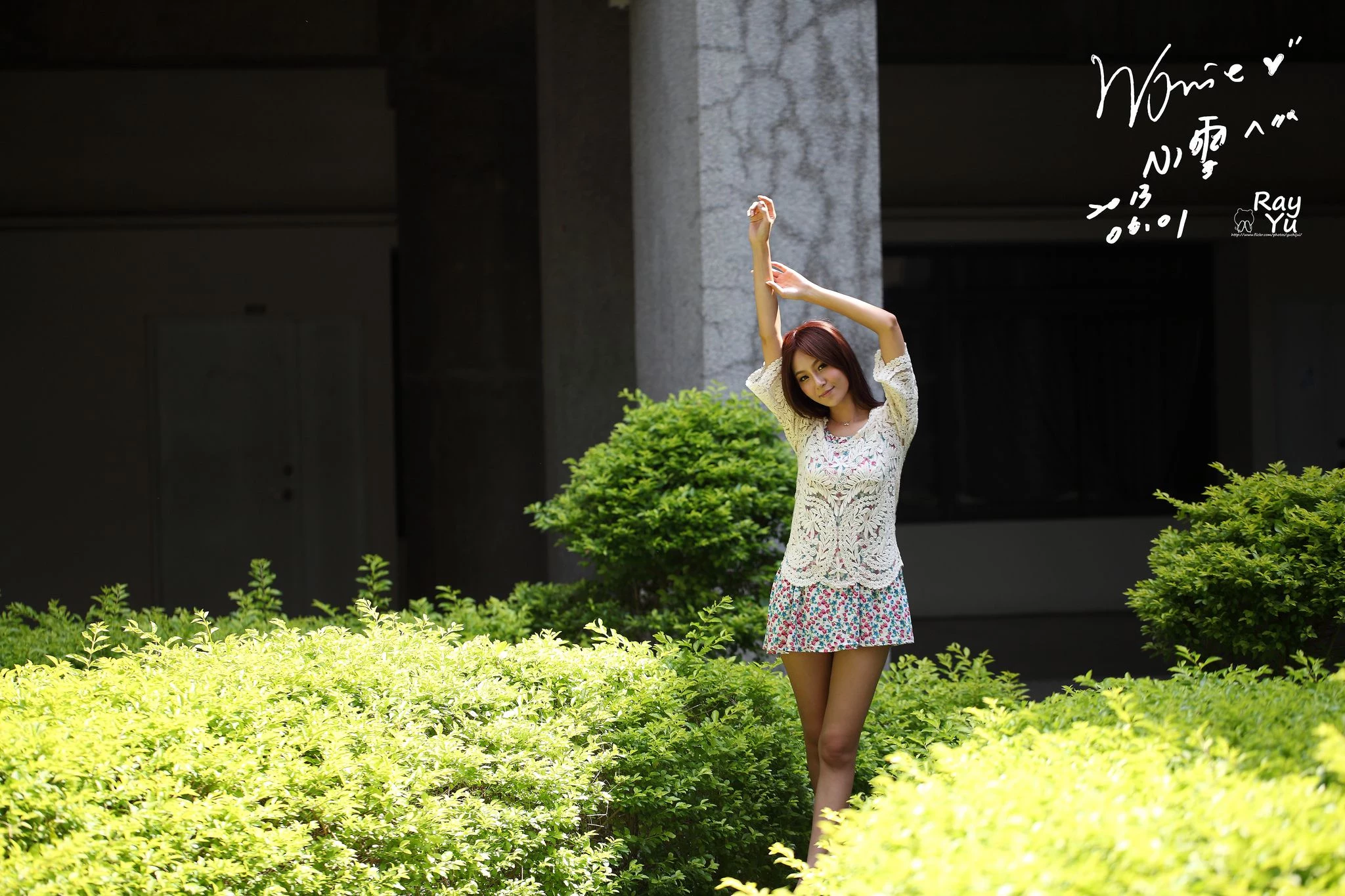 30741327.webp