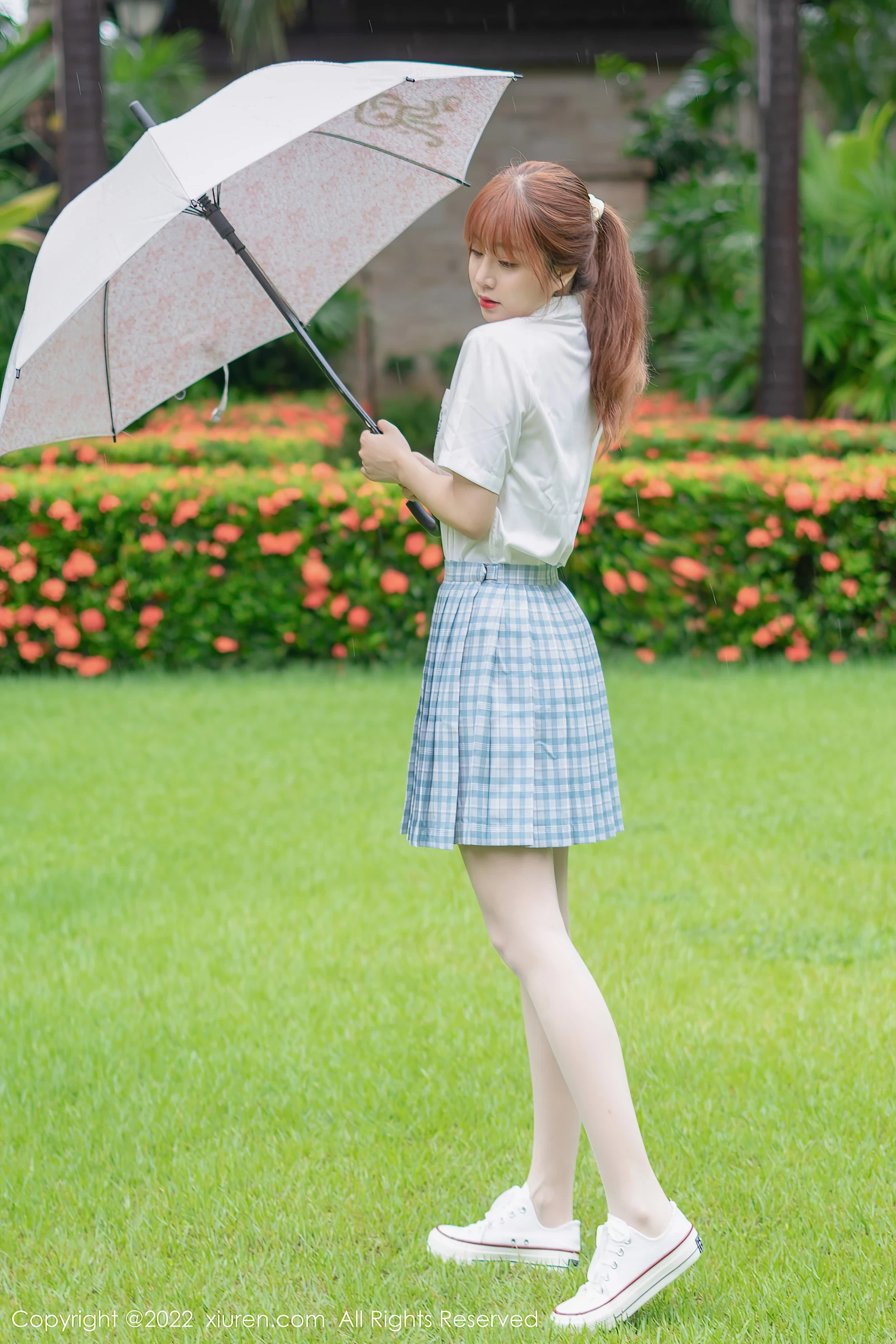 31402323.webp