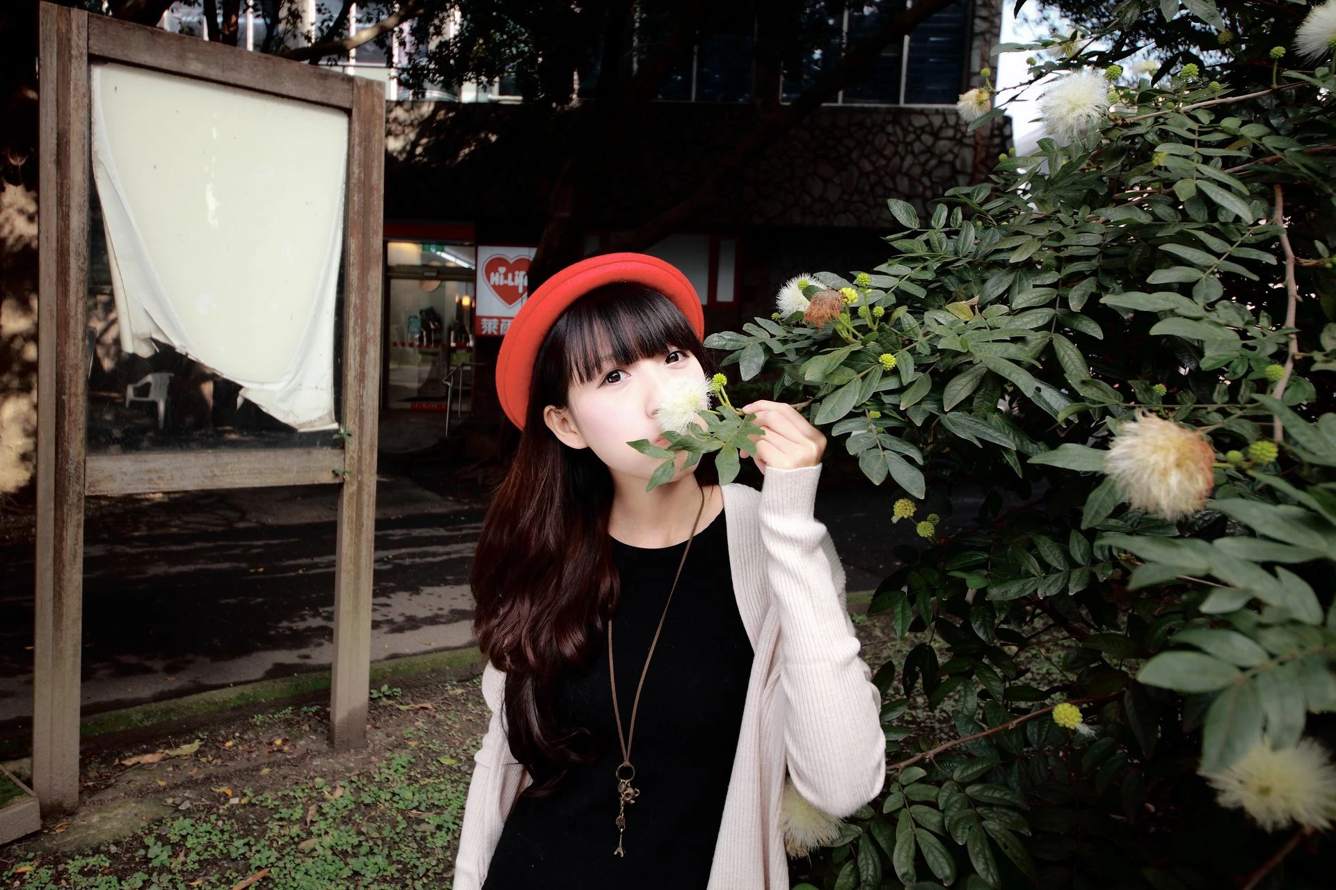 30714139.webp