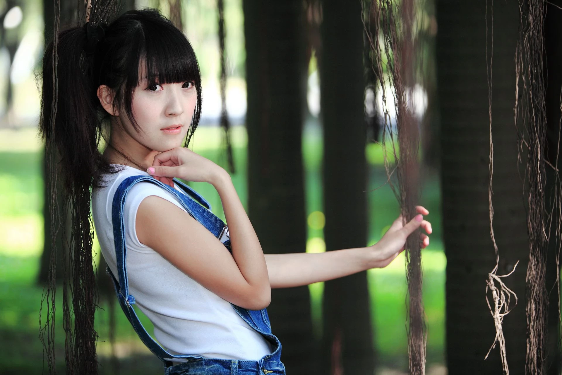 30714152.webp