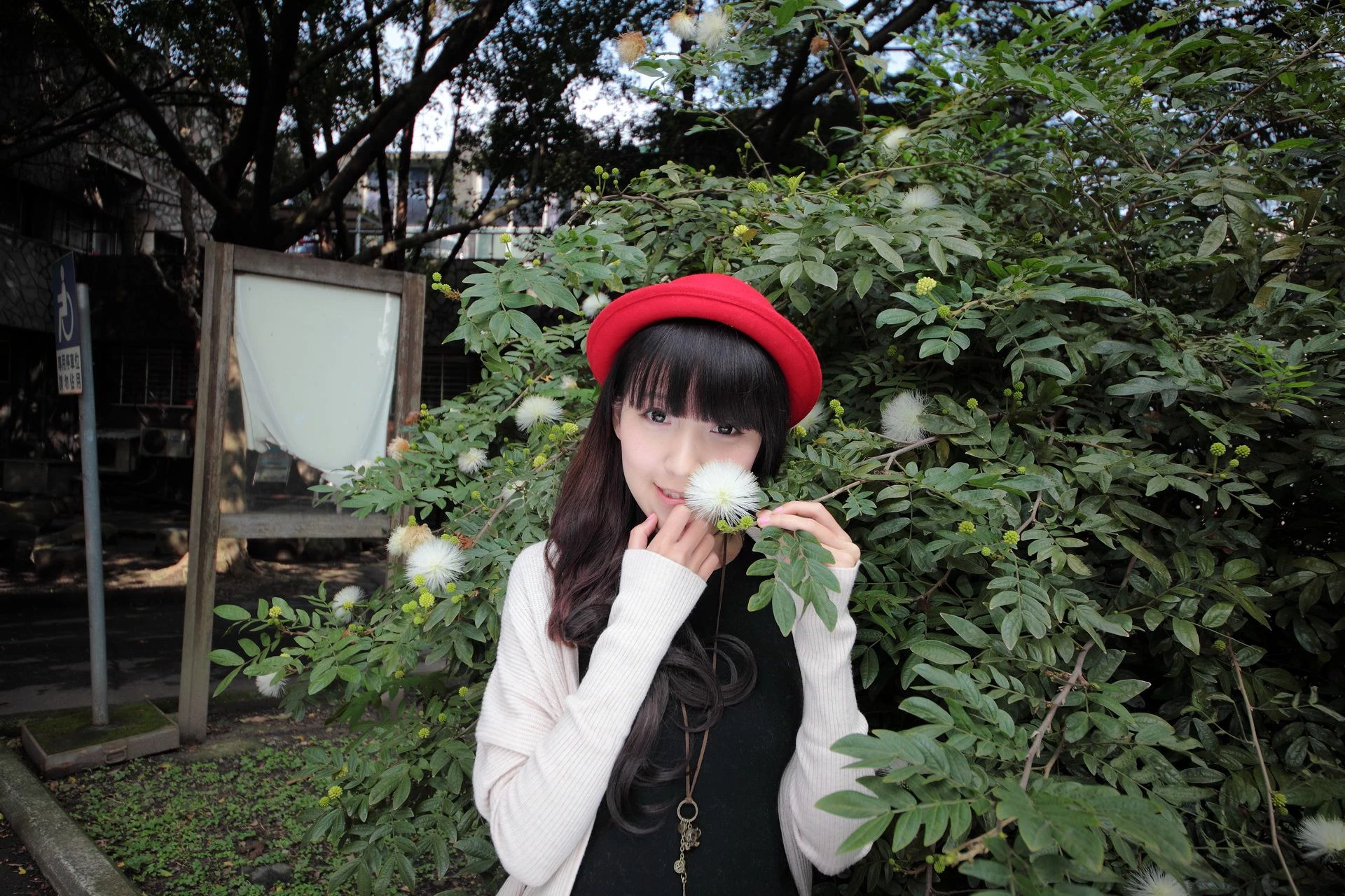 30714173.webp