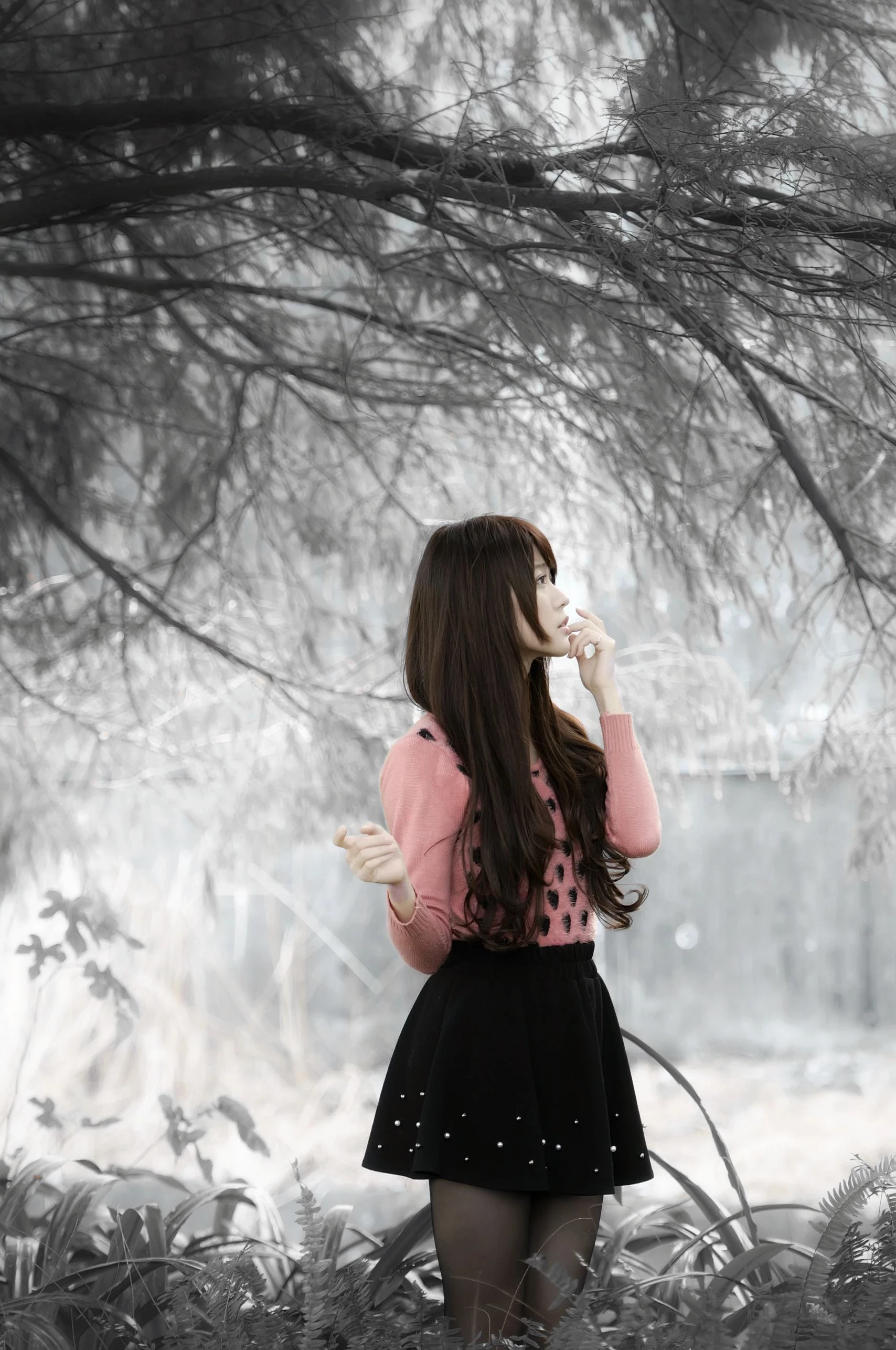 30714551.webp