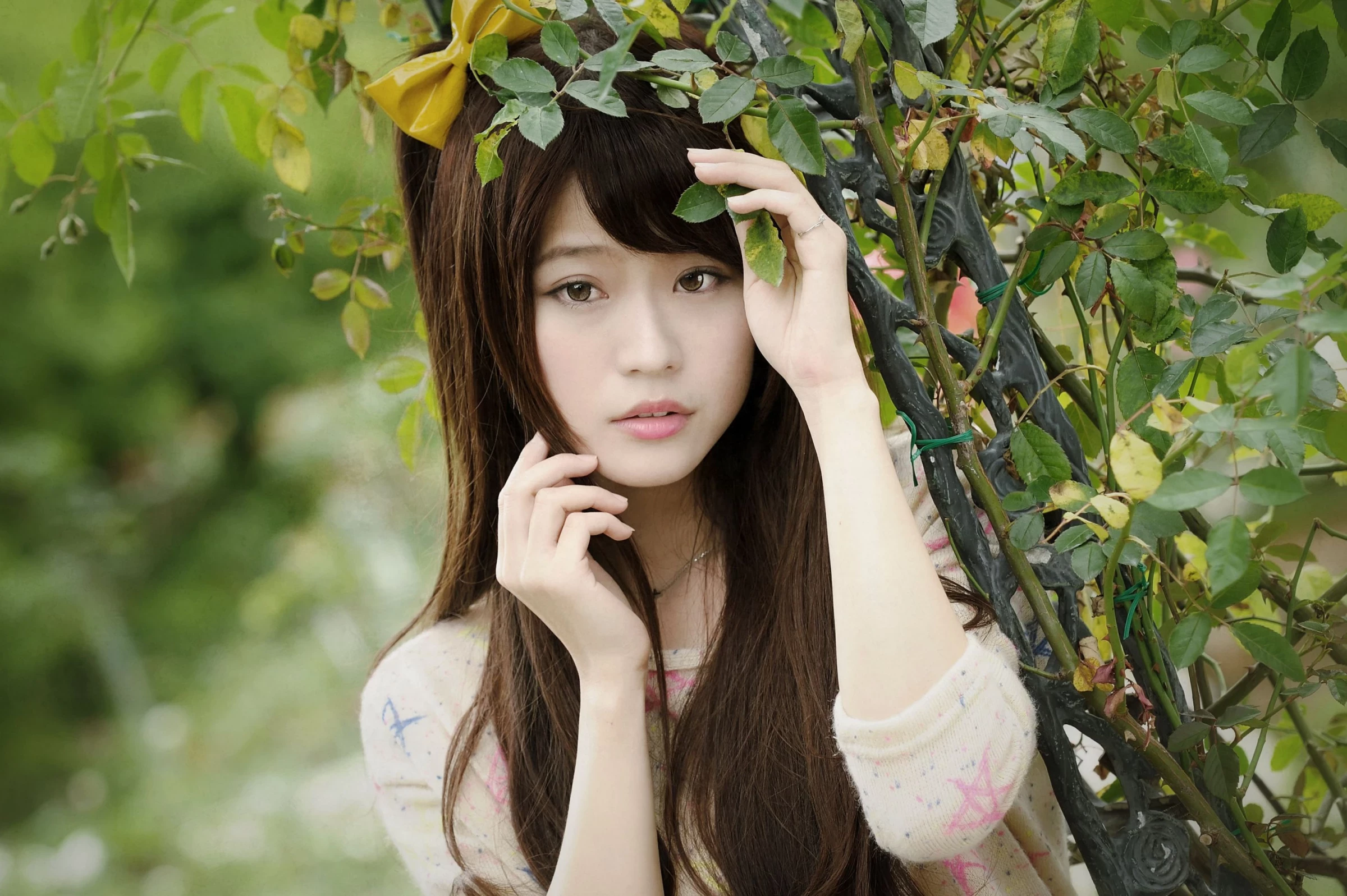 30714559.webp