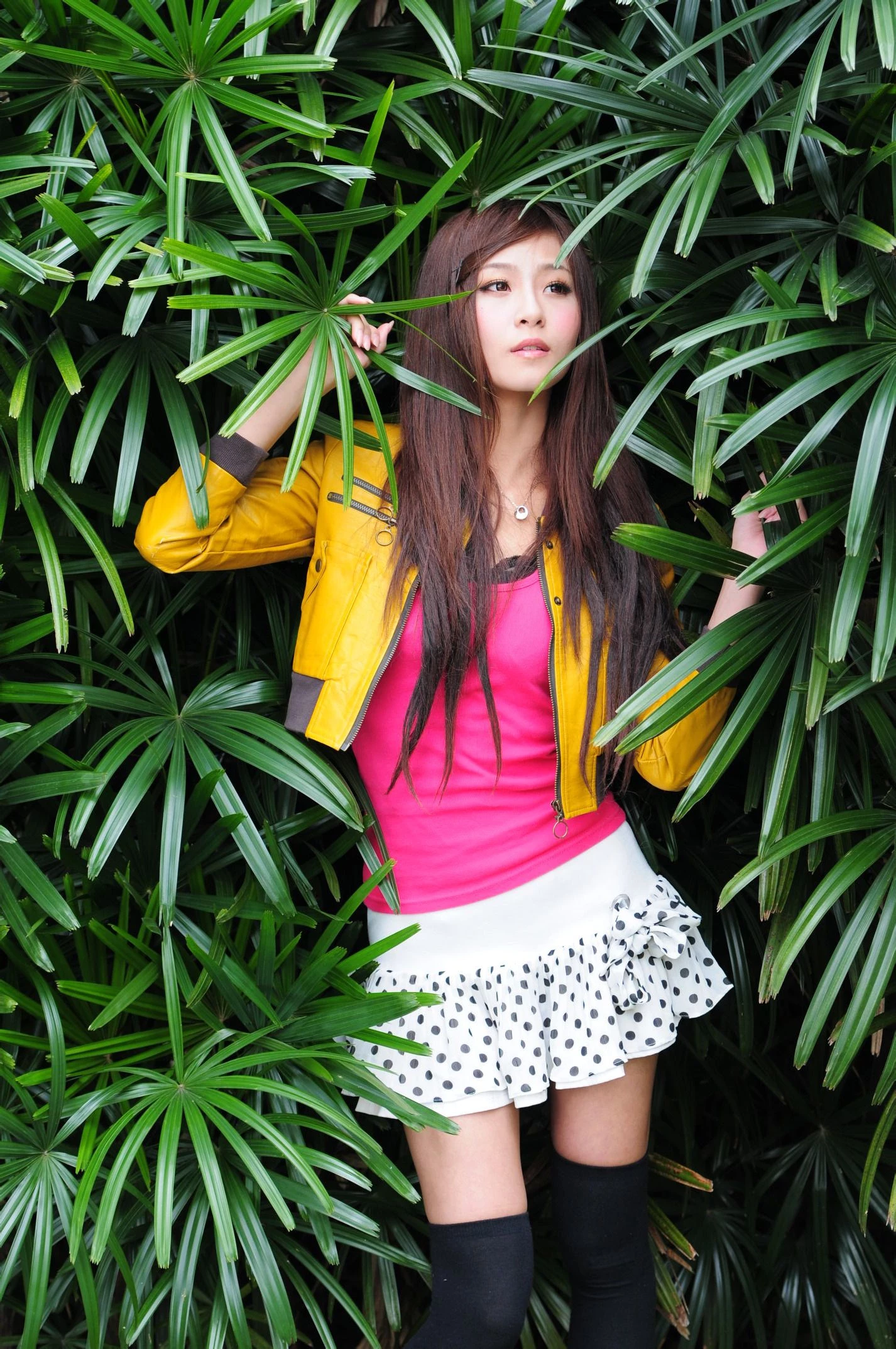 30741875.webp