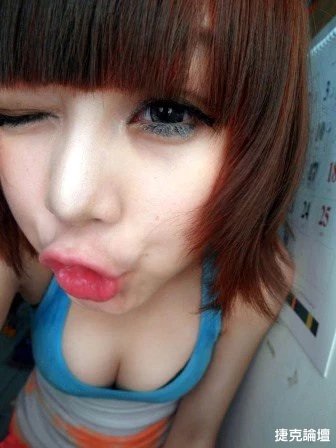 17557139.webp