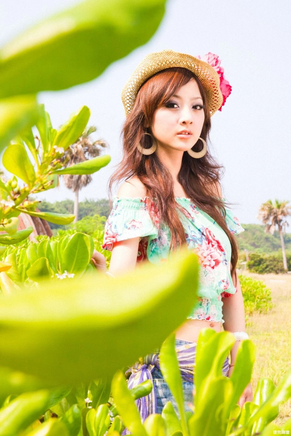17516387.webp