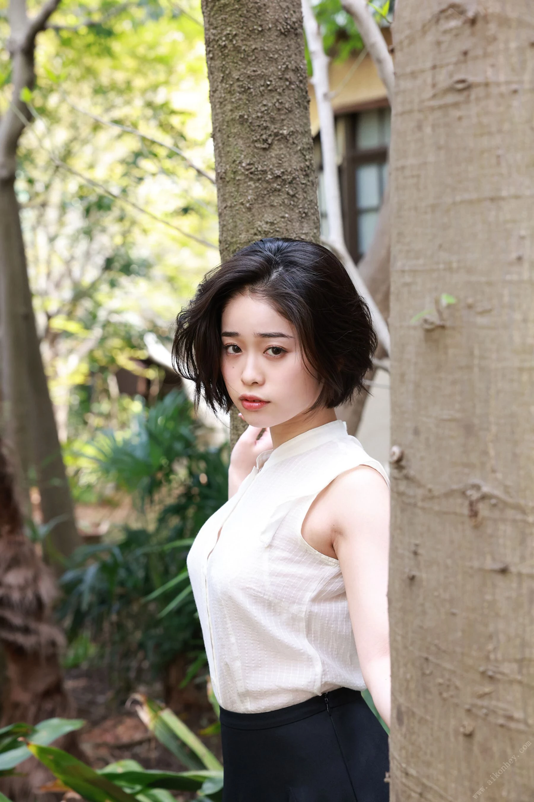 31368940.webp