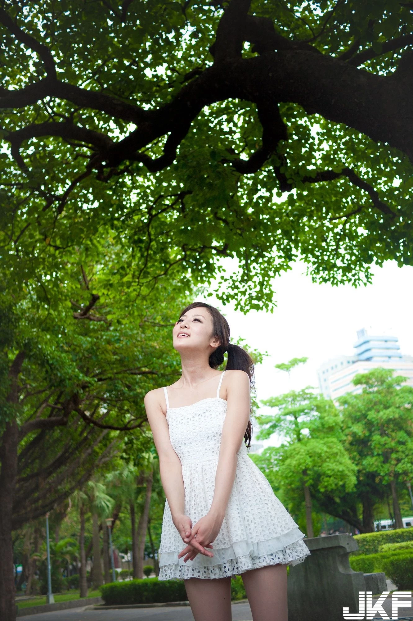 4602093.webp