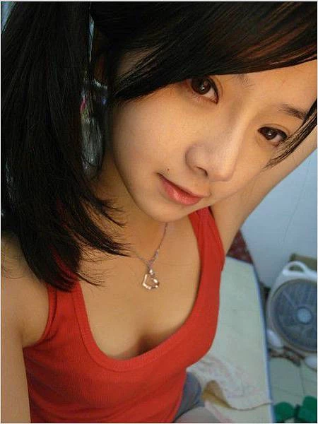 17235261.webp