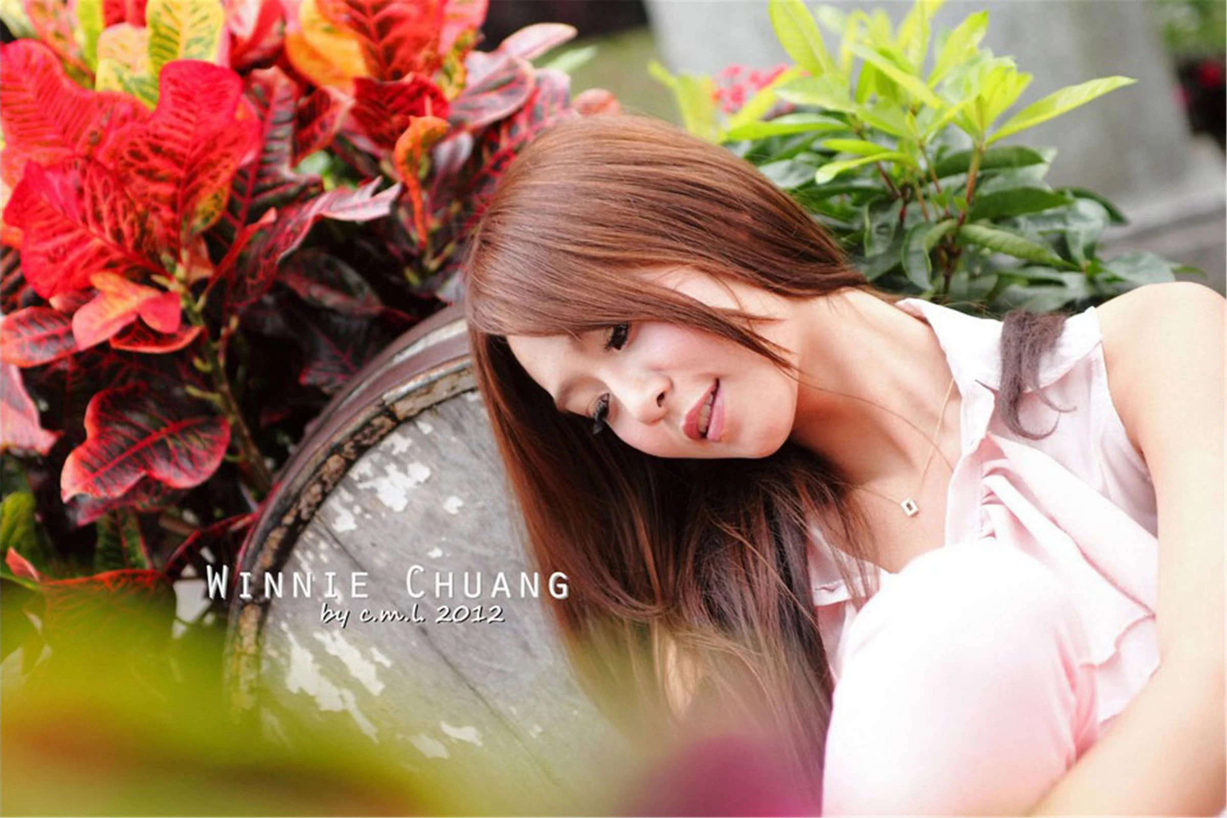 30727449.webp