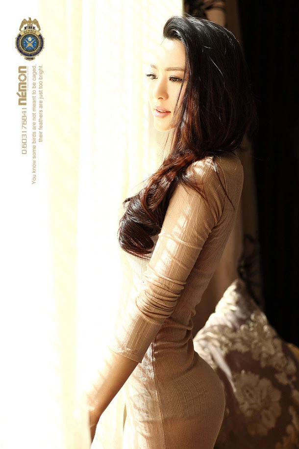 17505866.webp