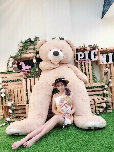 4631561.webp