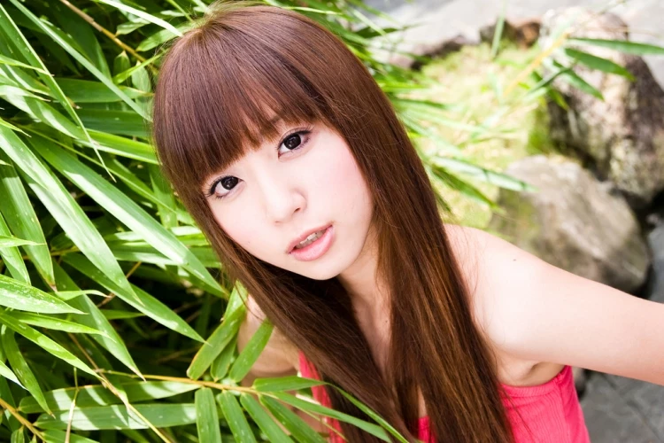 17188485.webp