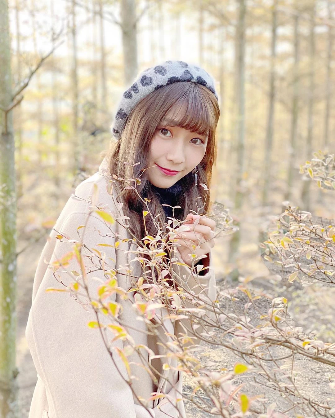 4115388.webp
