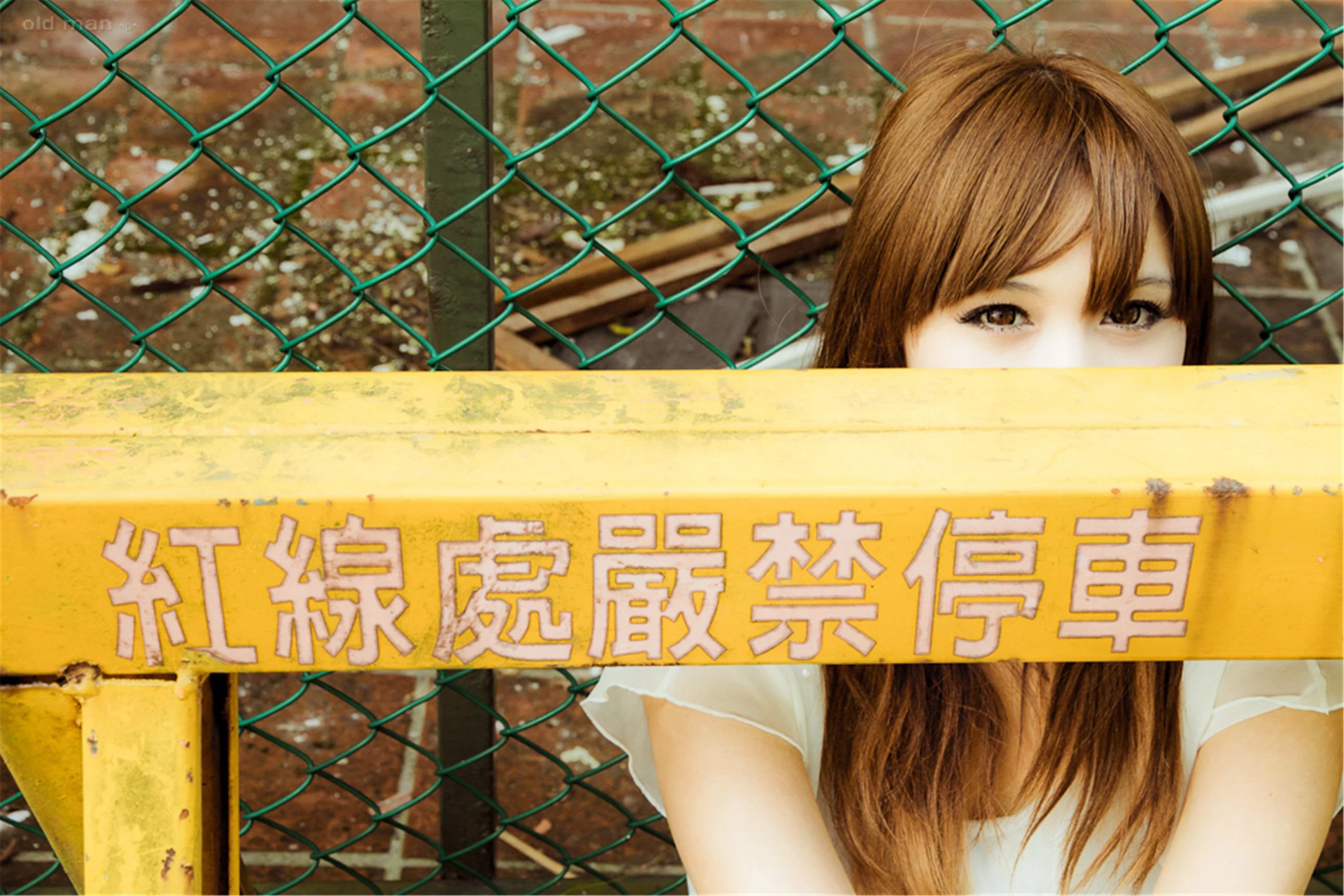 30742702.webp