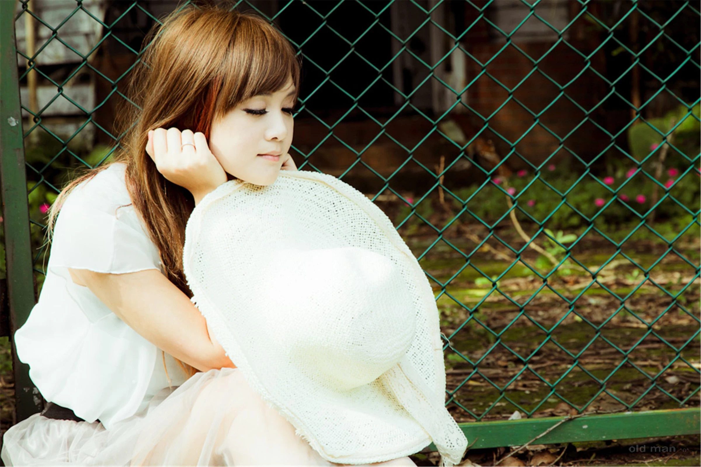 30742704.webp