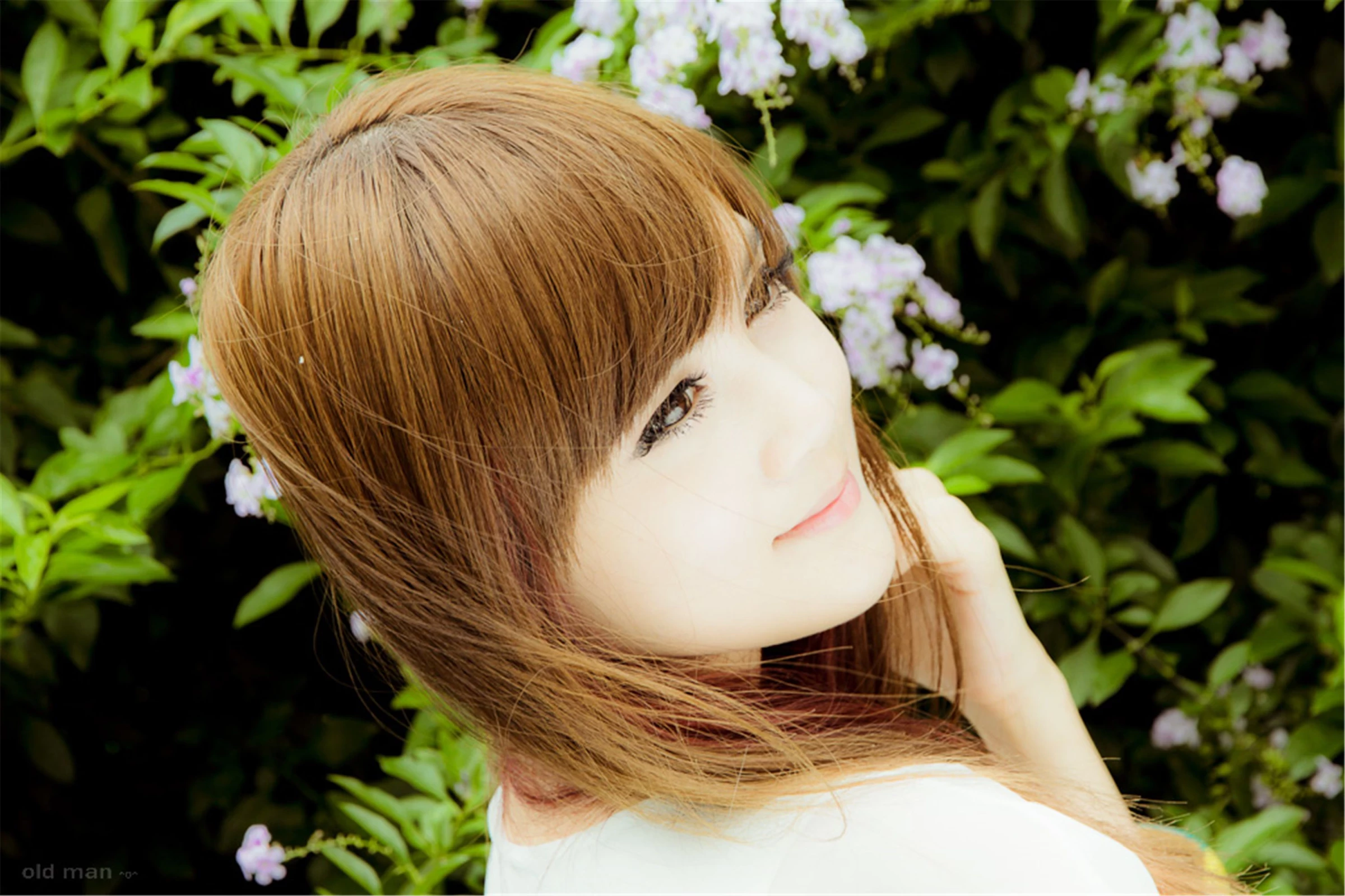 30742726.webp