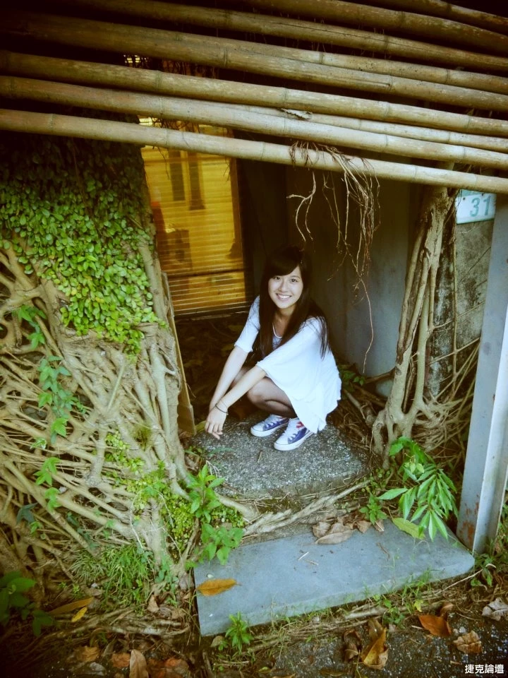 17307008.webp