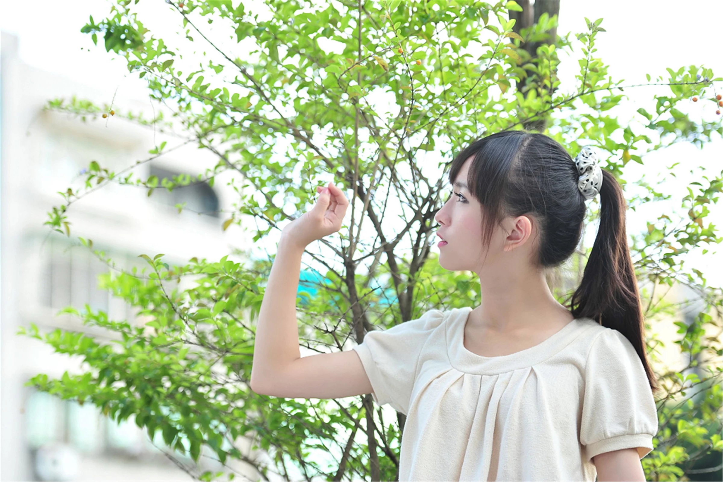 30743447.webp