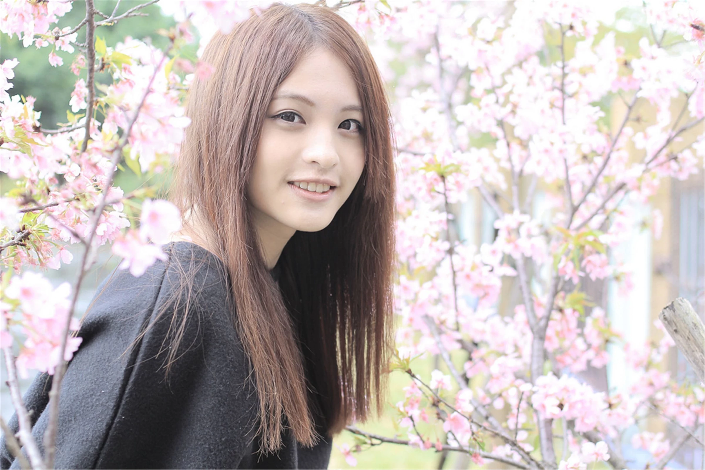 30743481.webp