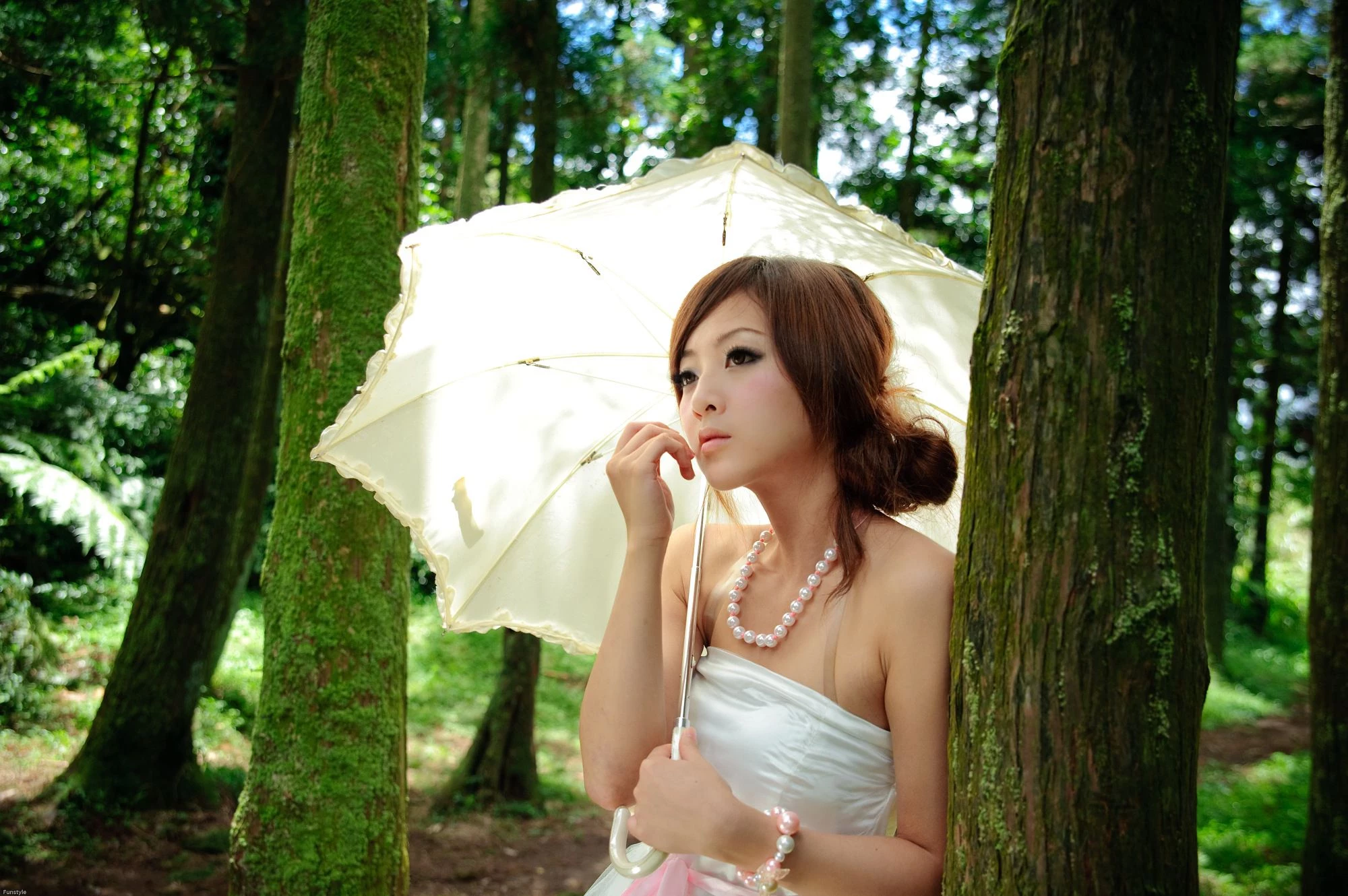 30716782.webp