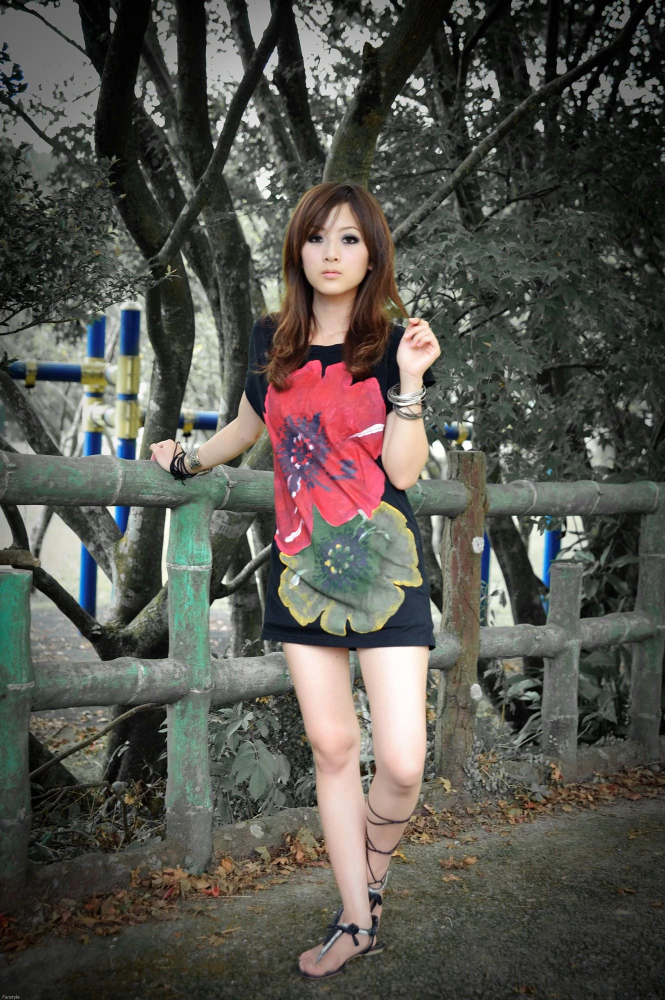 30716791.webp