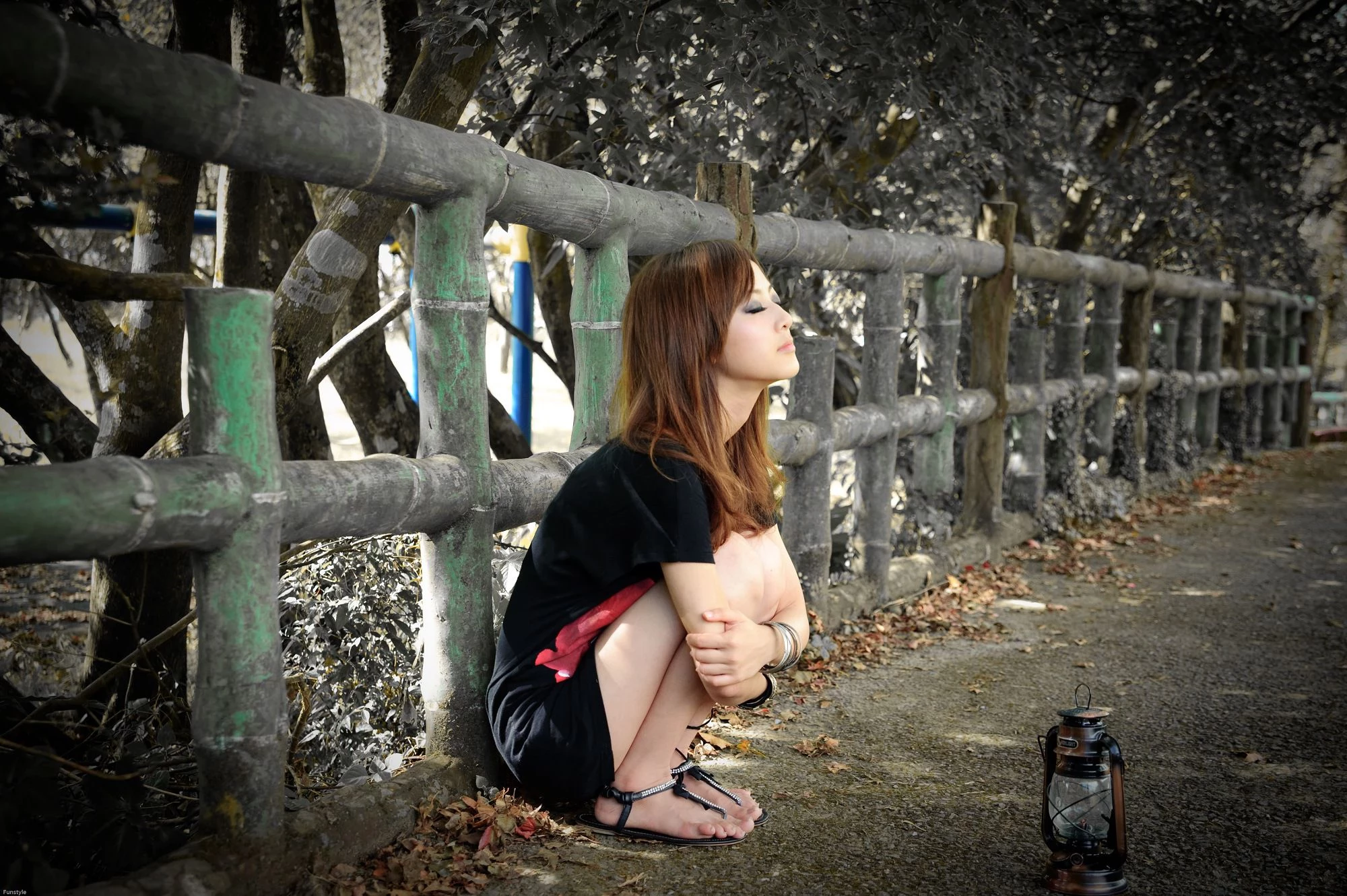 30716793.webp