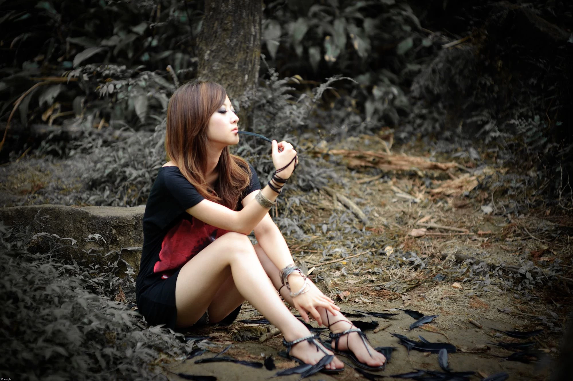 30716804.webp