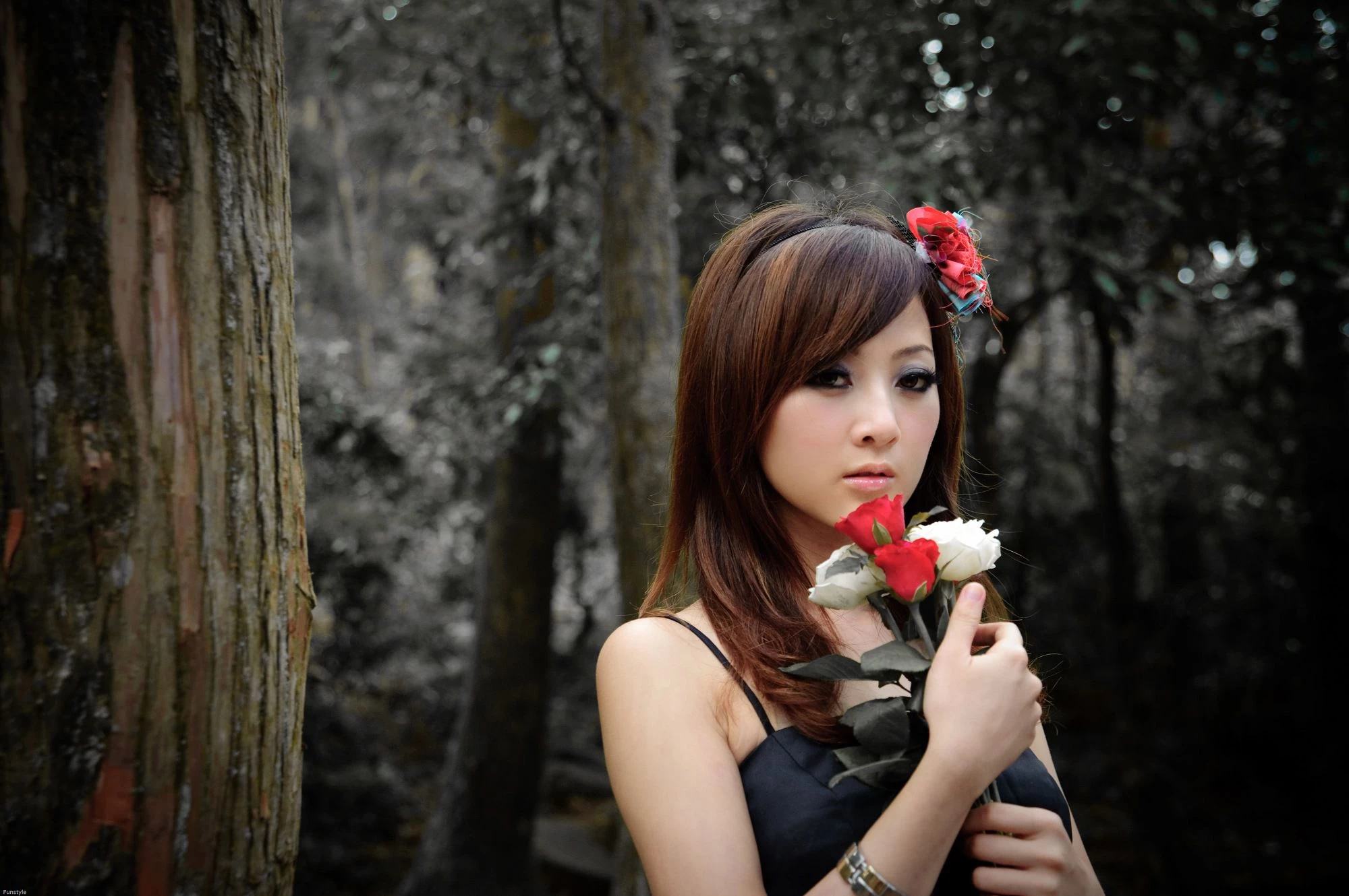 30716813.webp