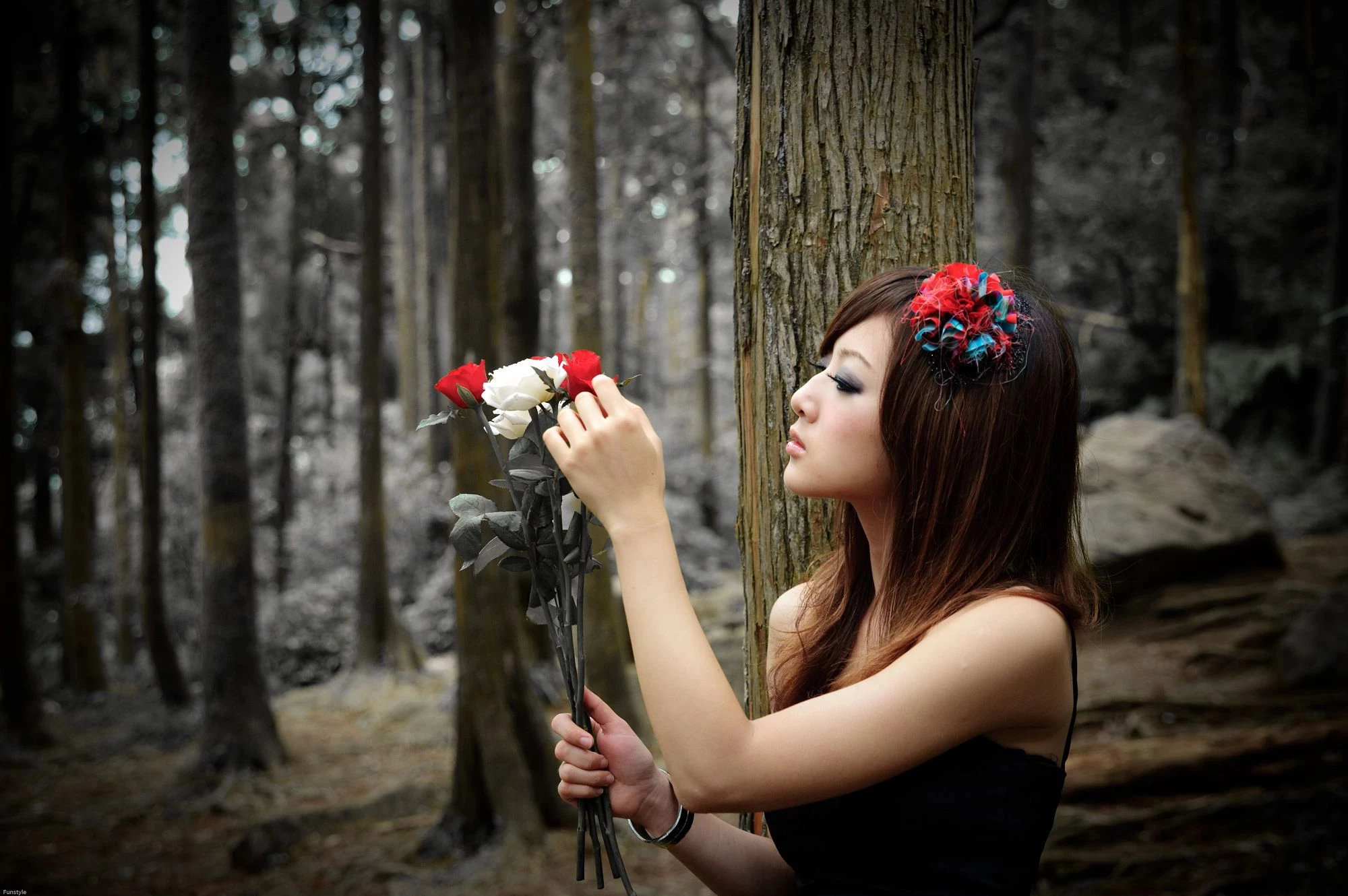 30716817.webp