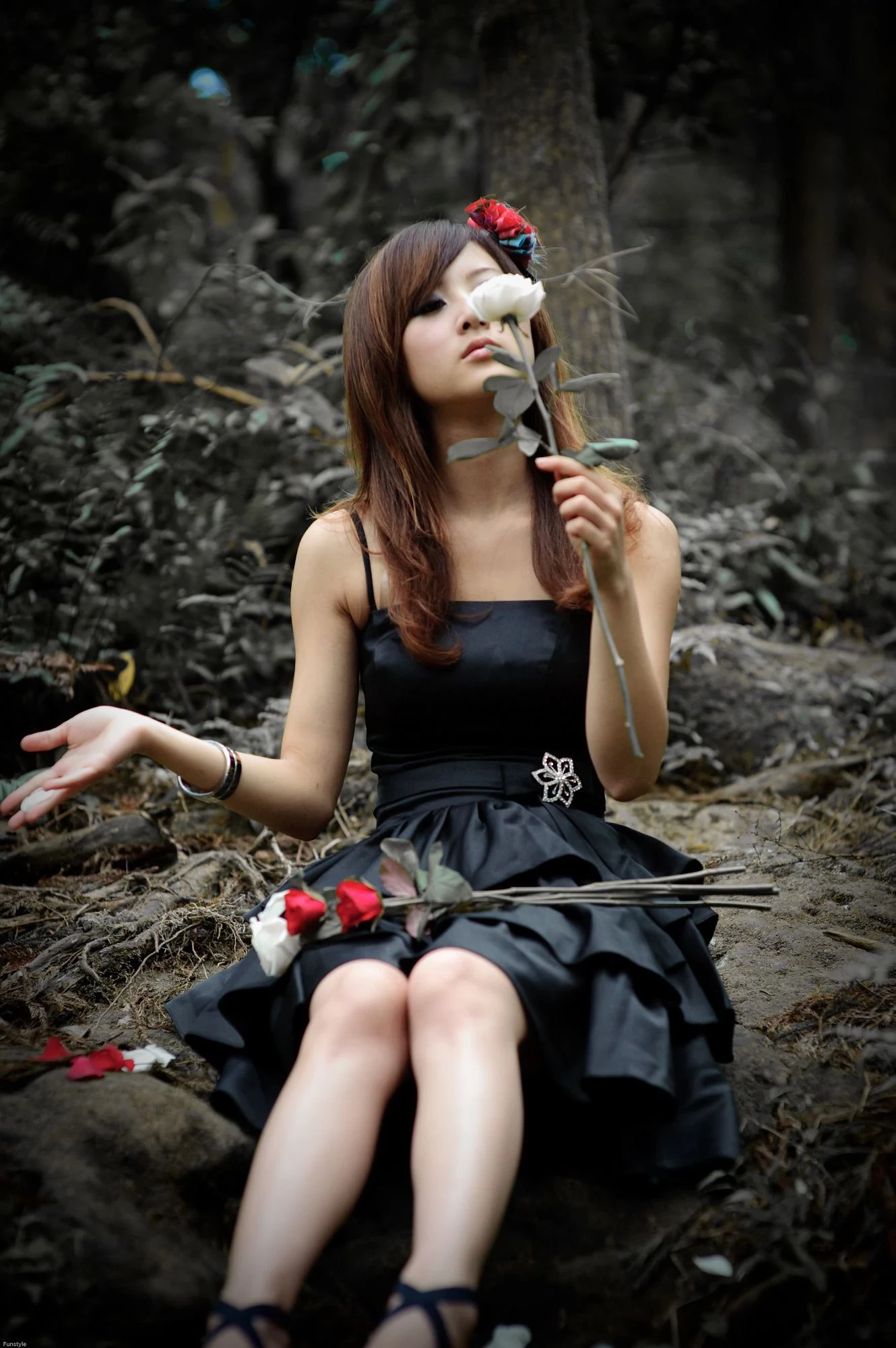 30716819.webp