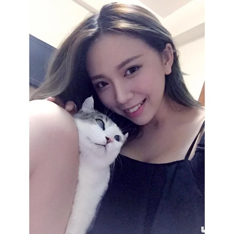 16810445.webp