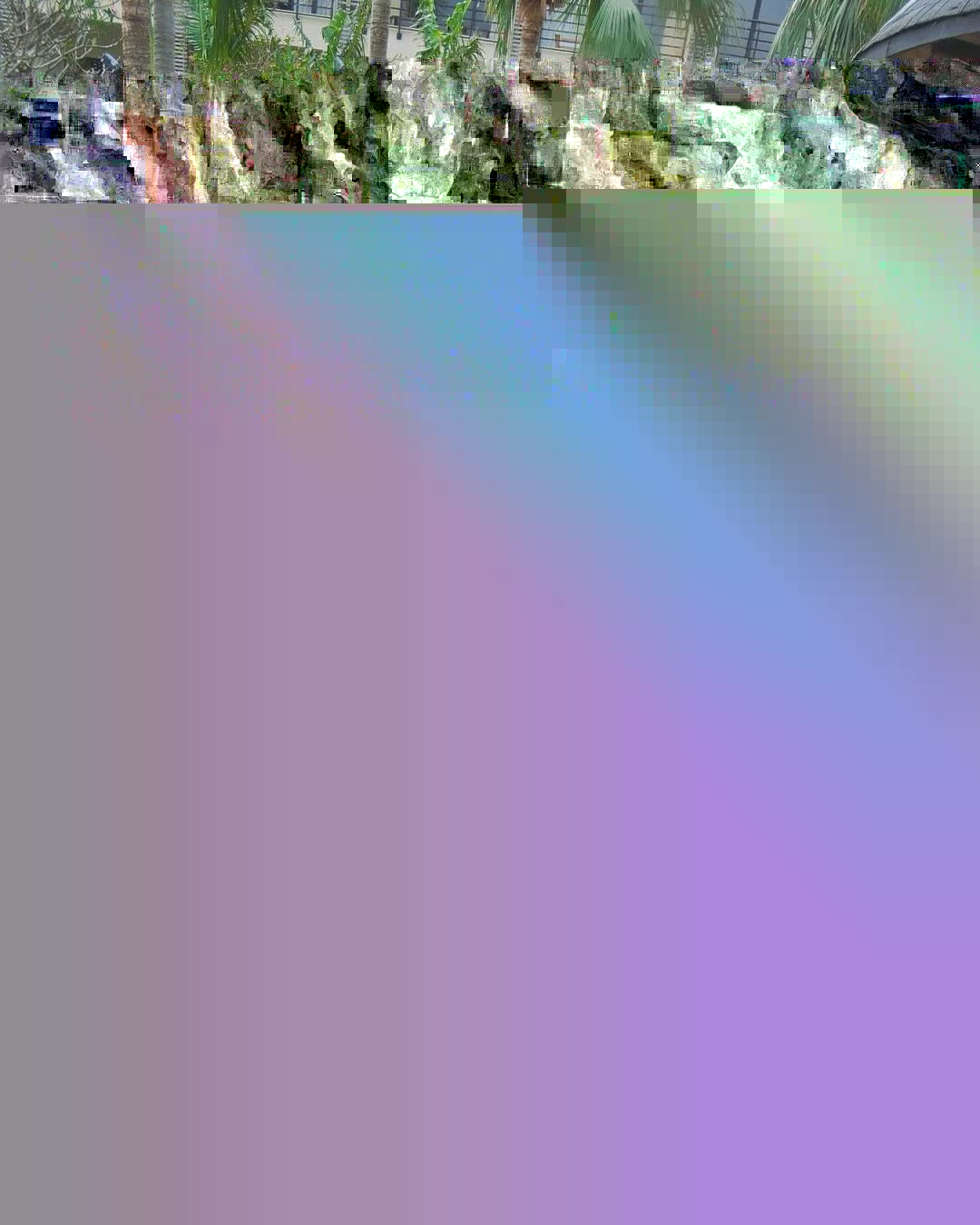 16793195.webp