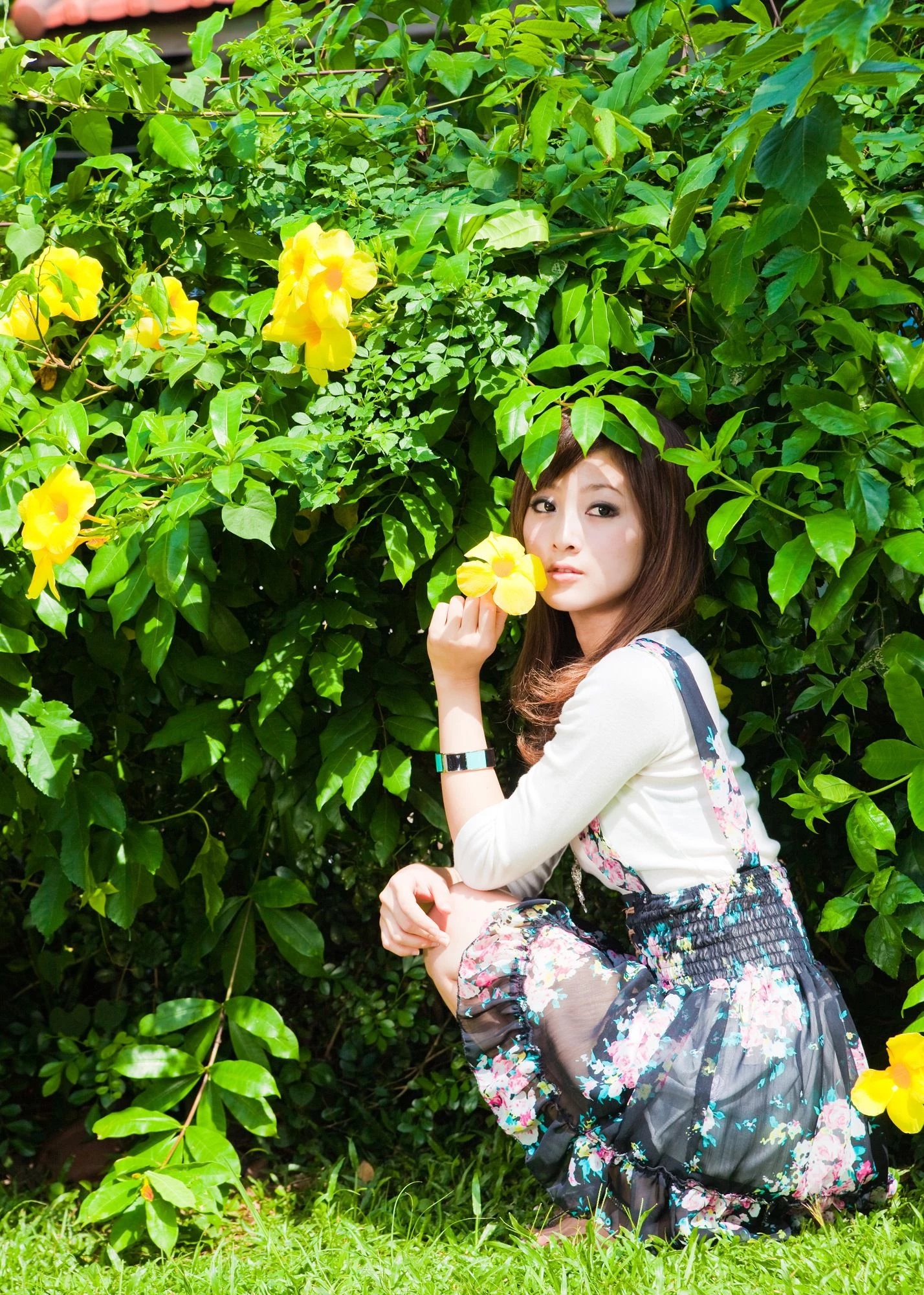 30716446.webp