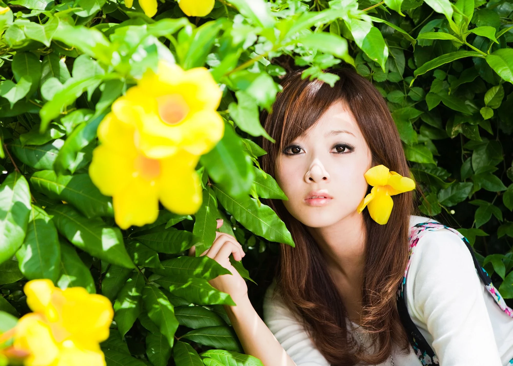 30716448.webp