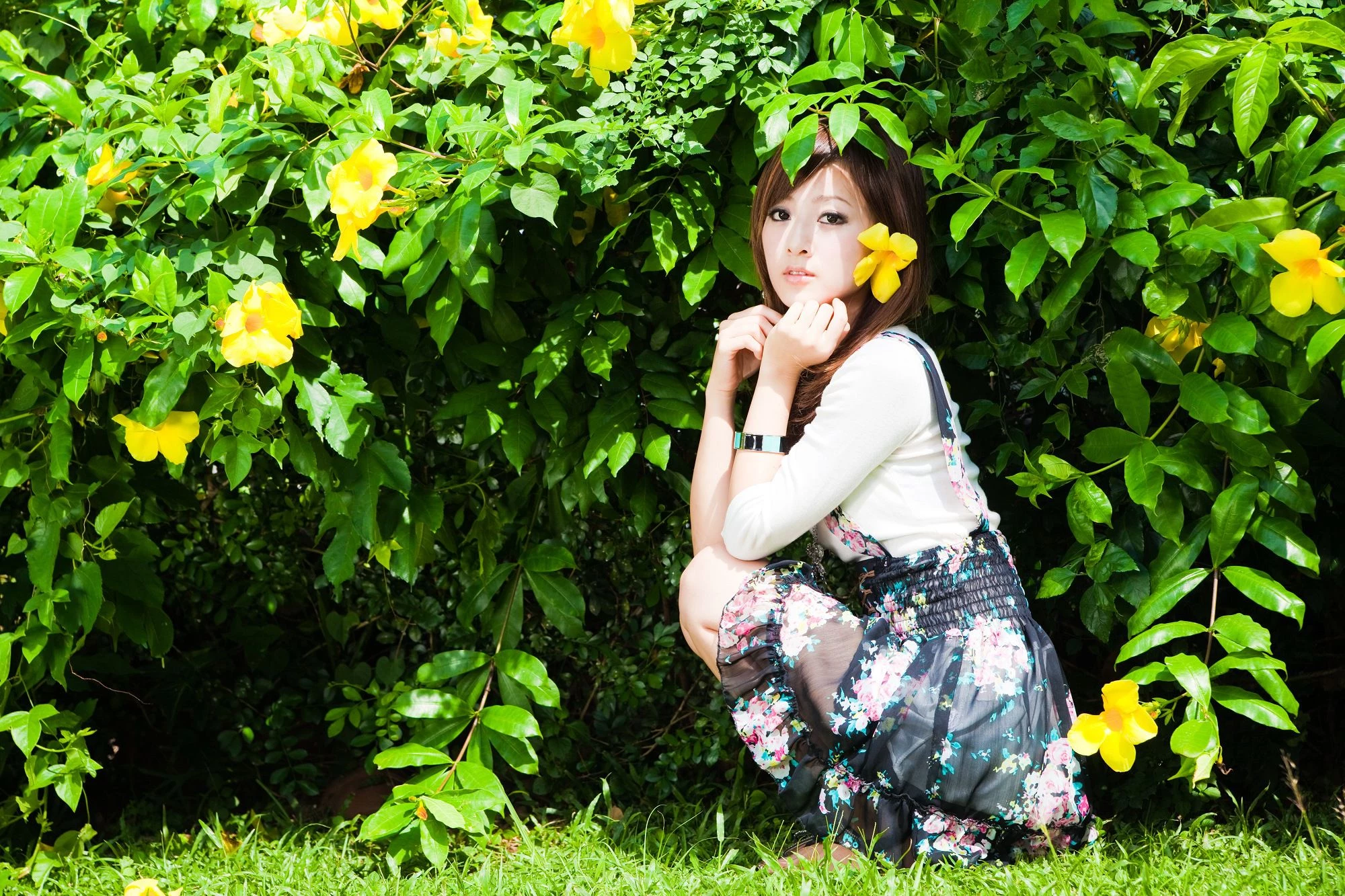 30716447.webp