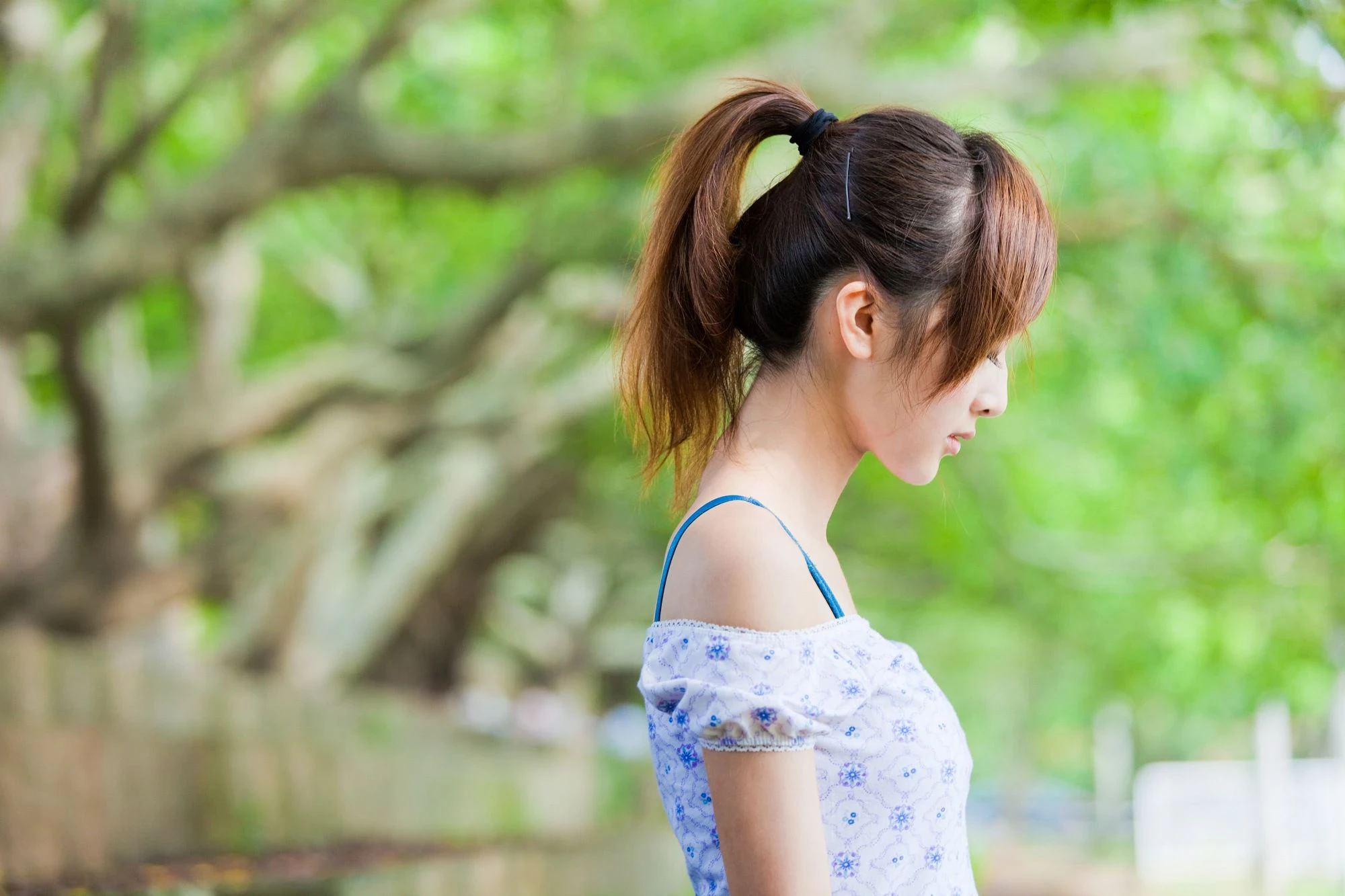 30716506.webp