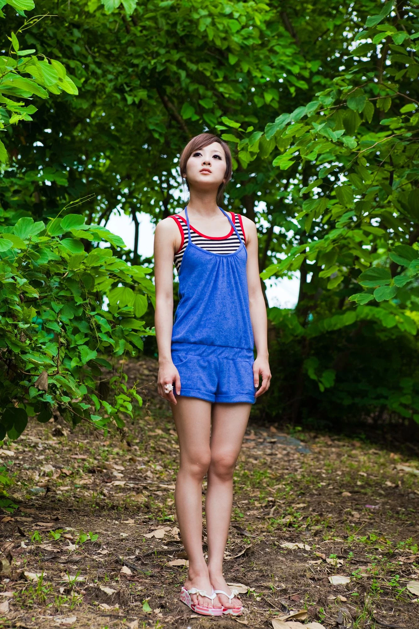 30716527.webp