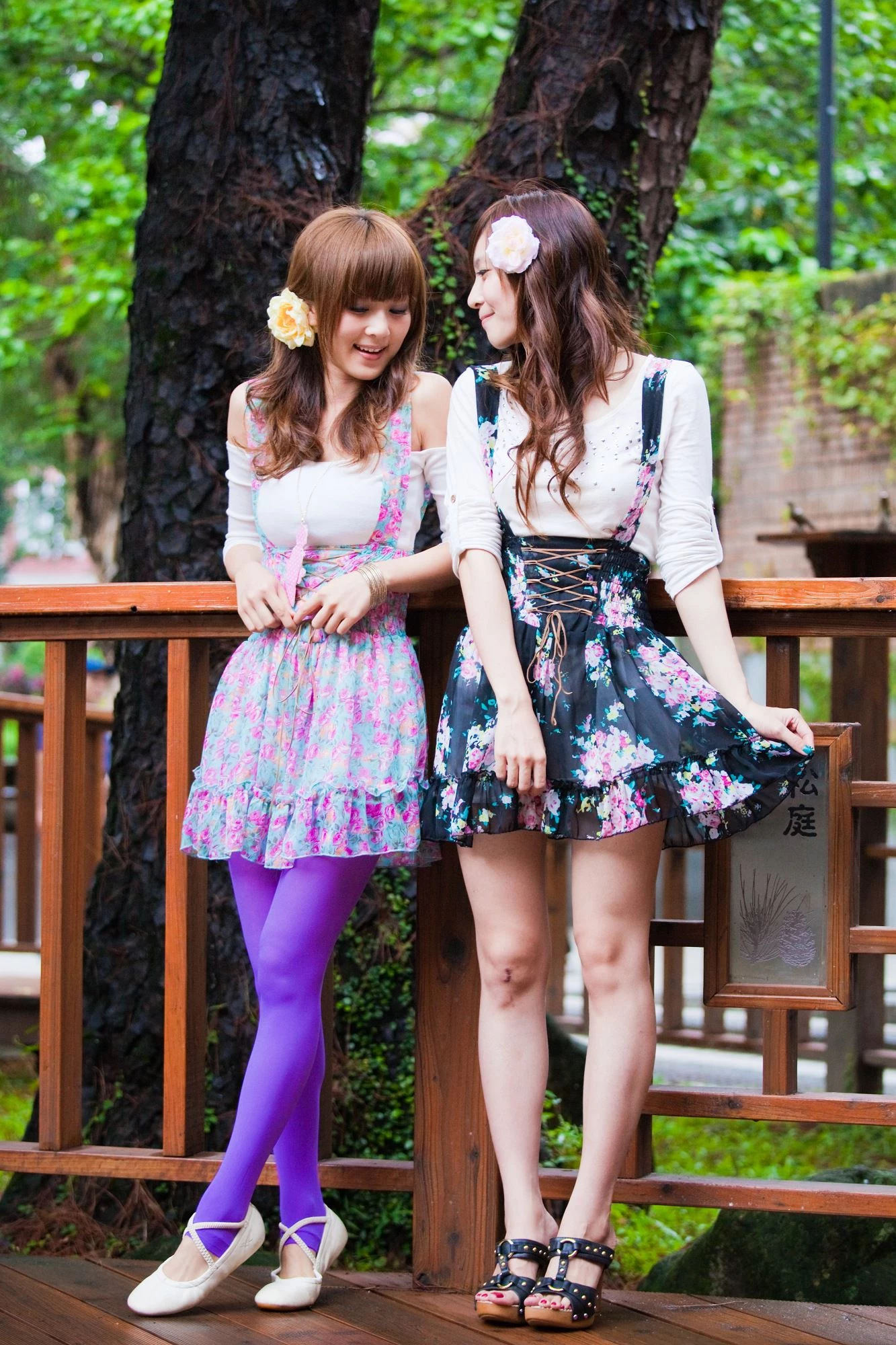 30716133.webp
