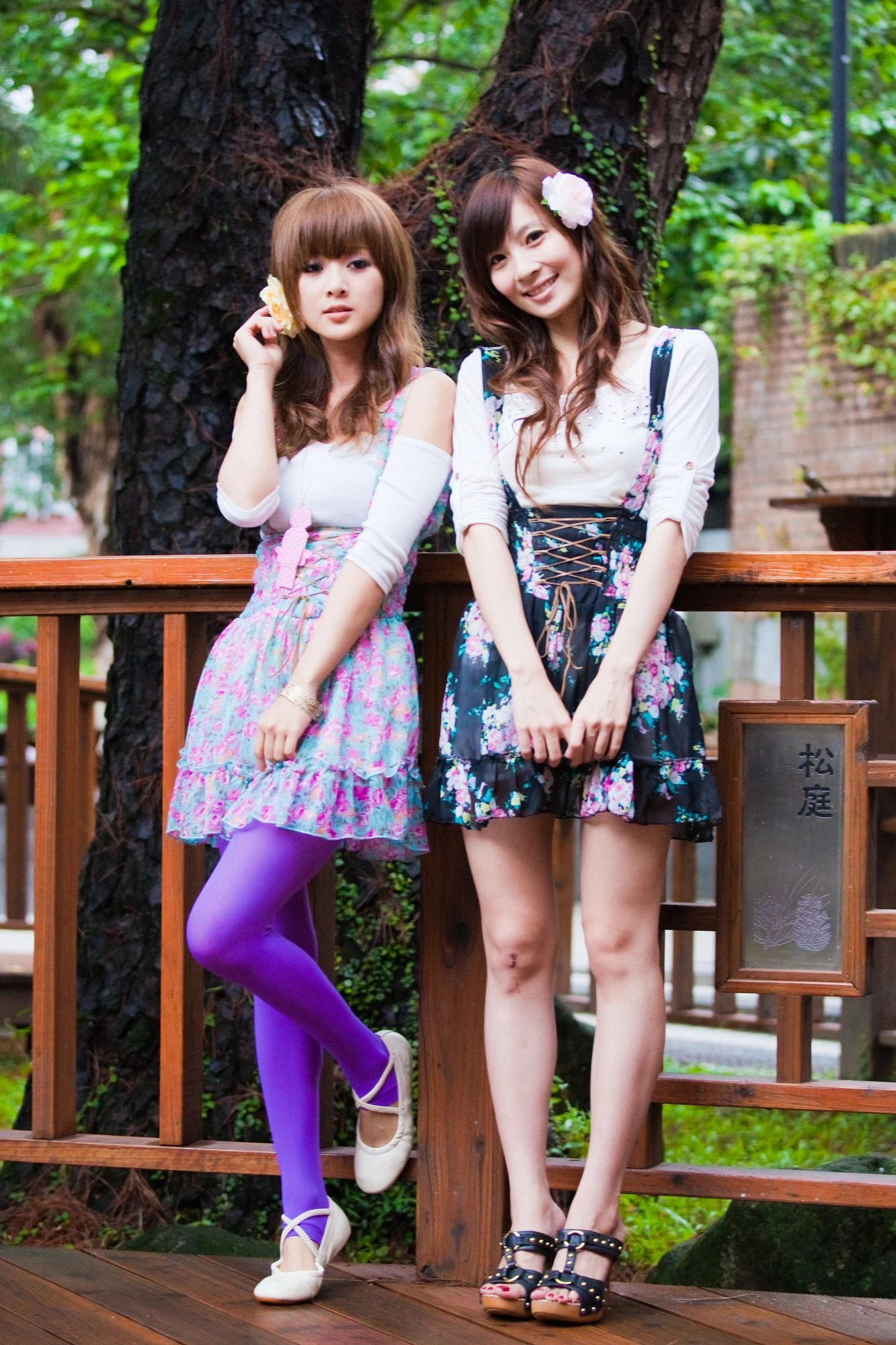 30716134.webp