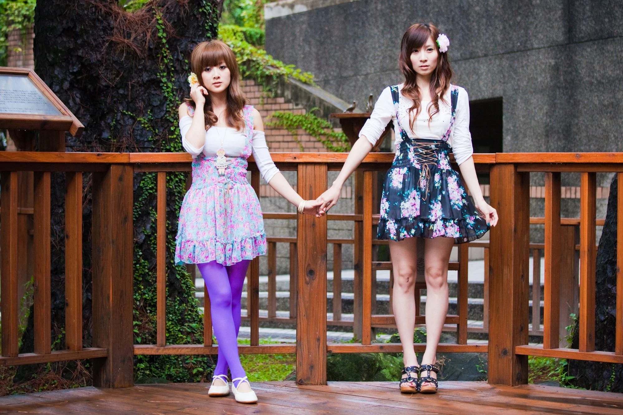 30716135.webp
