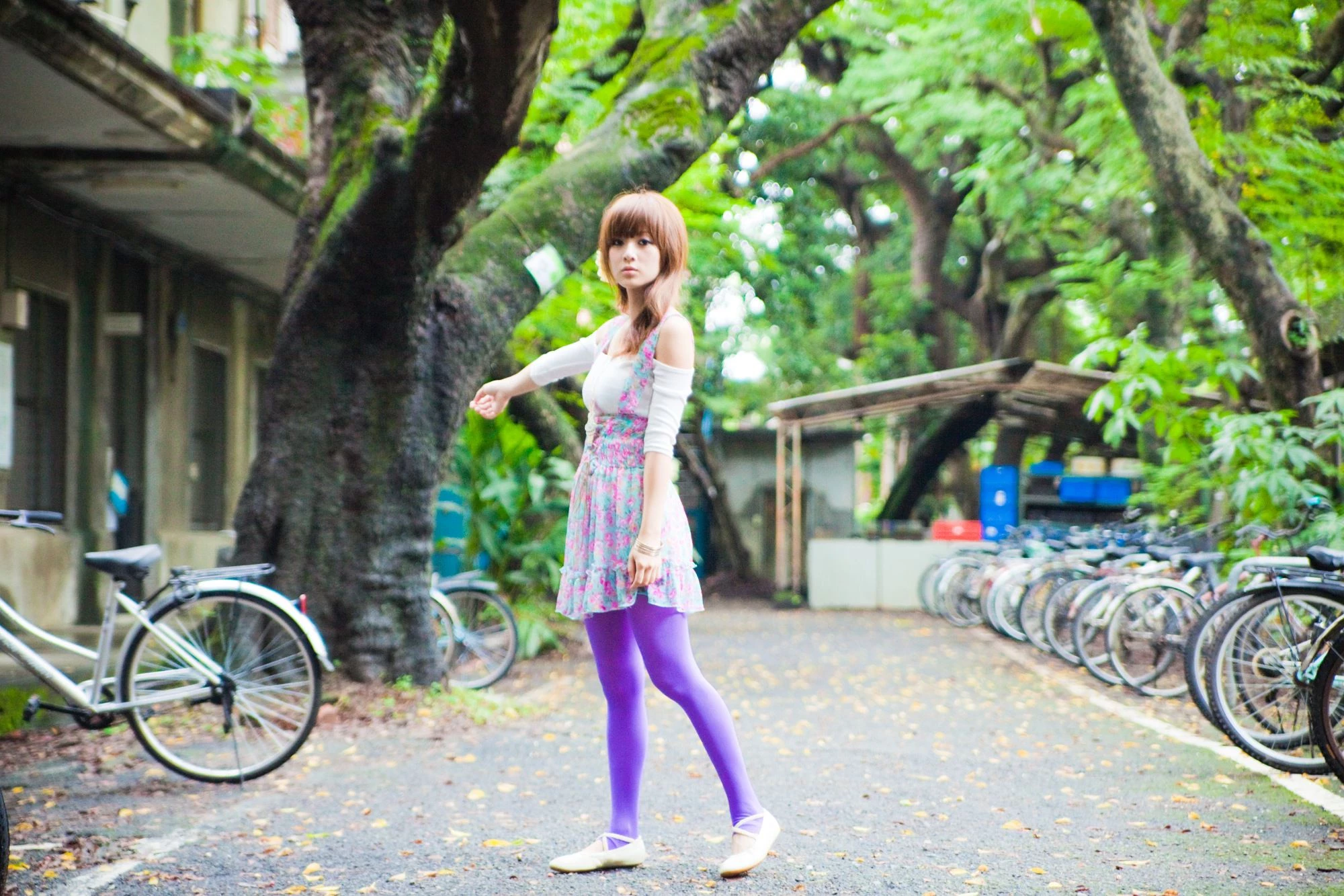 30716142.webp