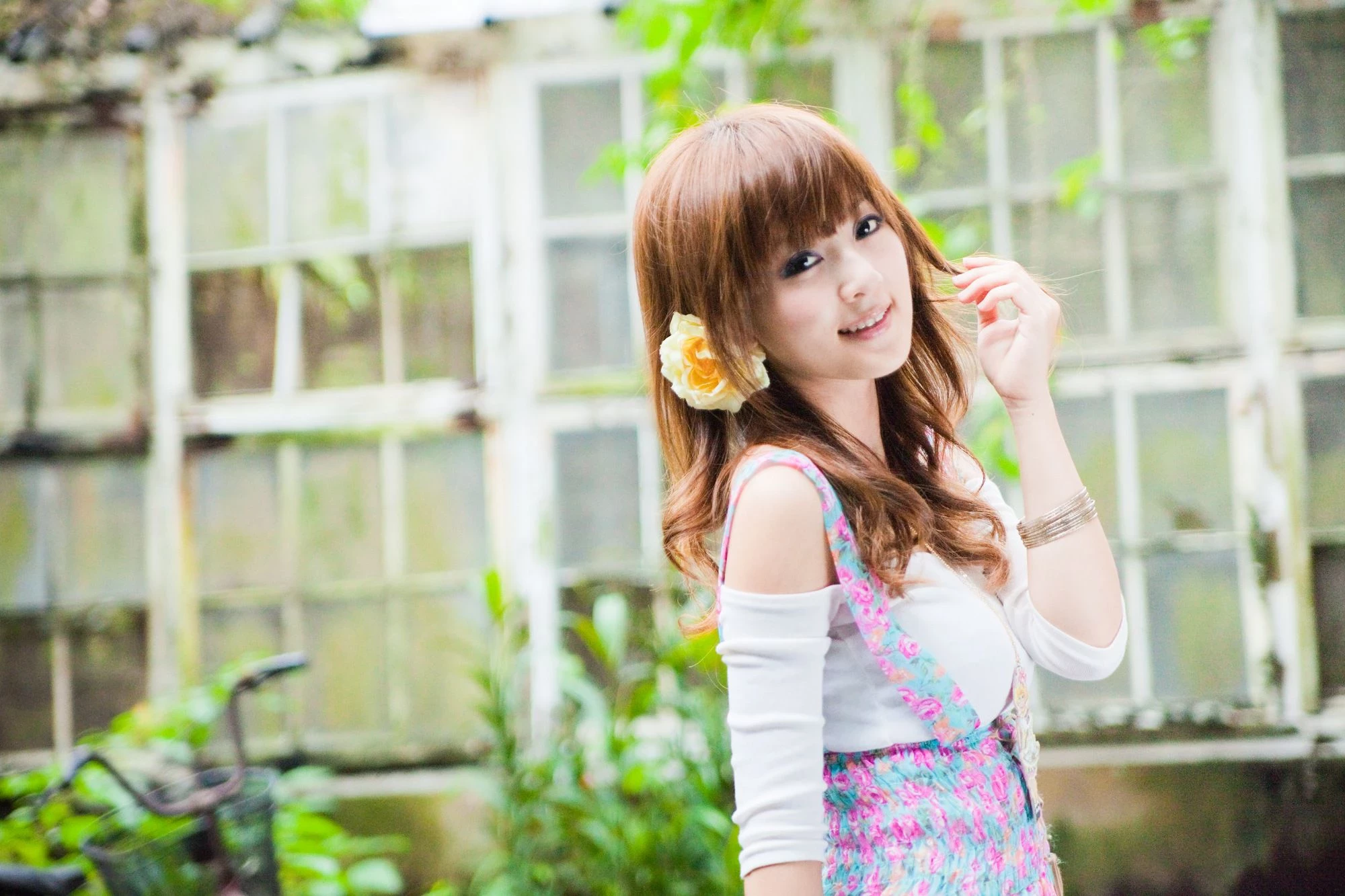 30716145.webp