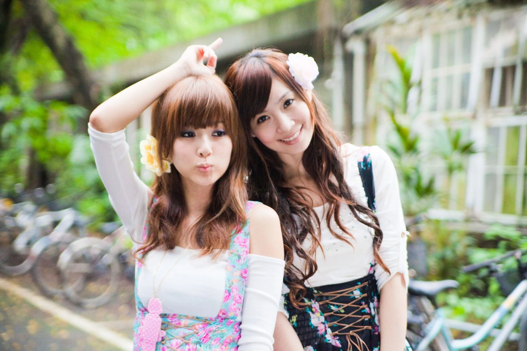 30716148.webp