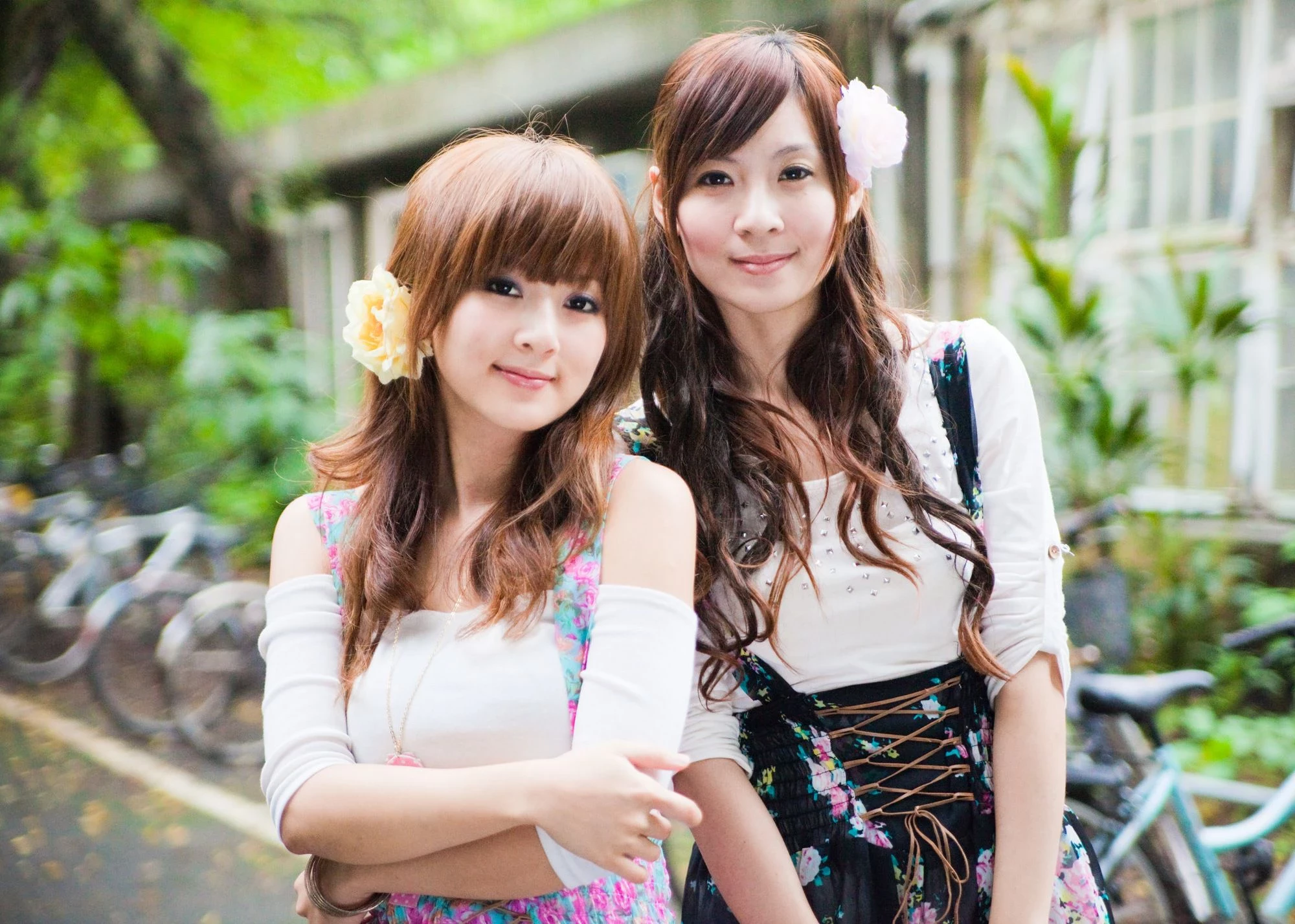 30716149.webp